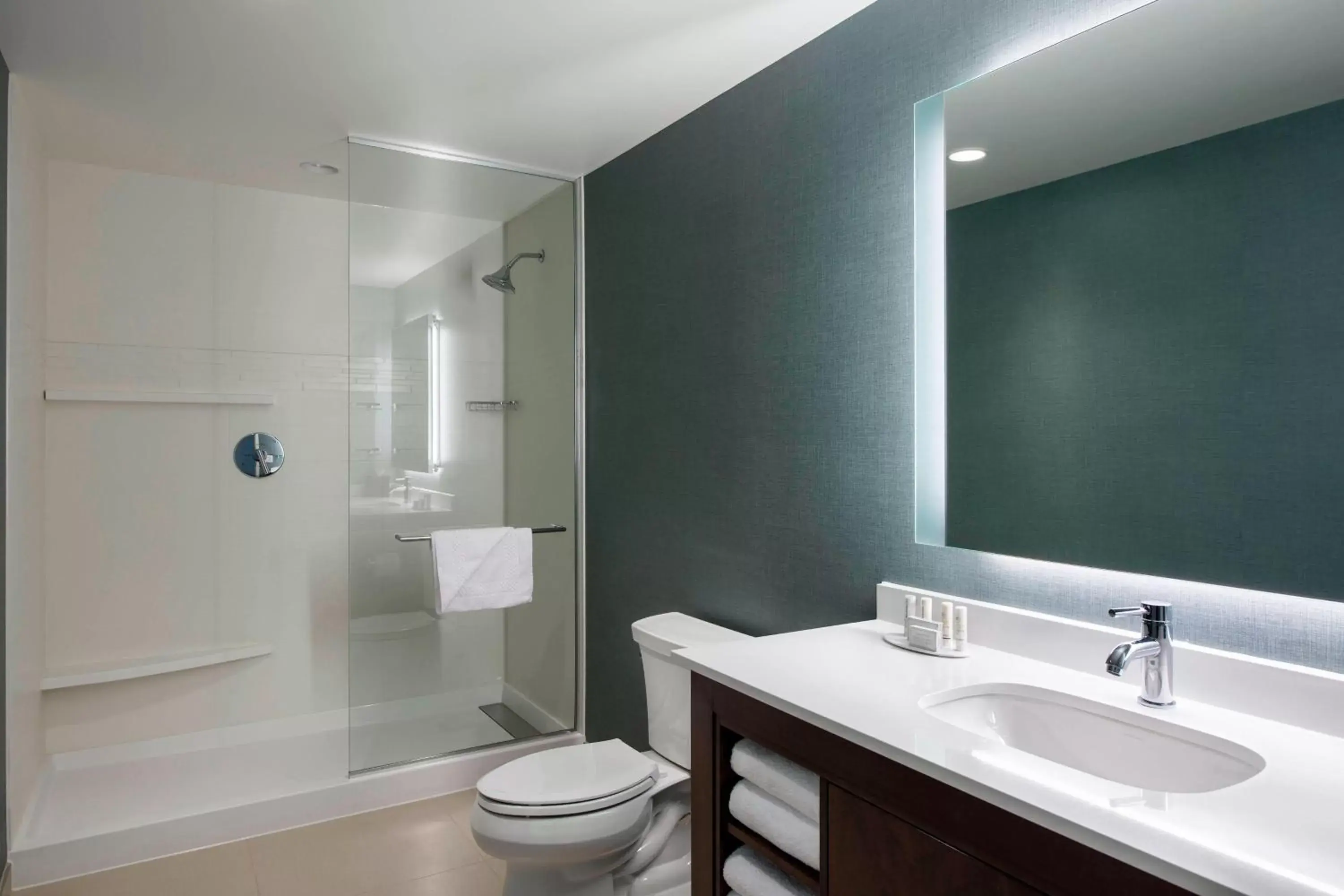 Bathroom in Residence Inn by Marriott Calgary South