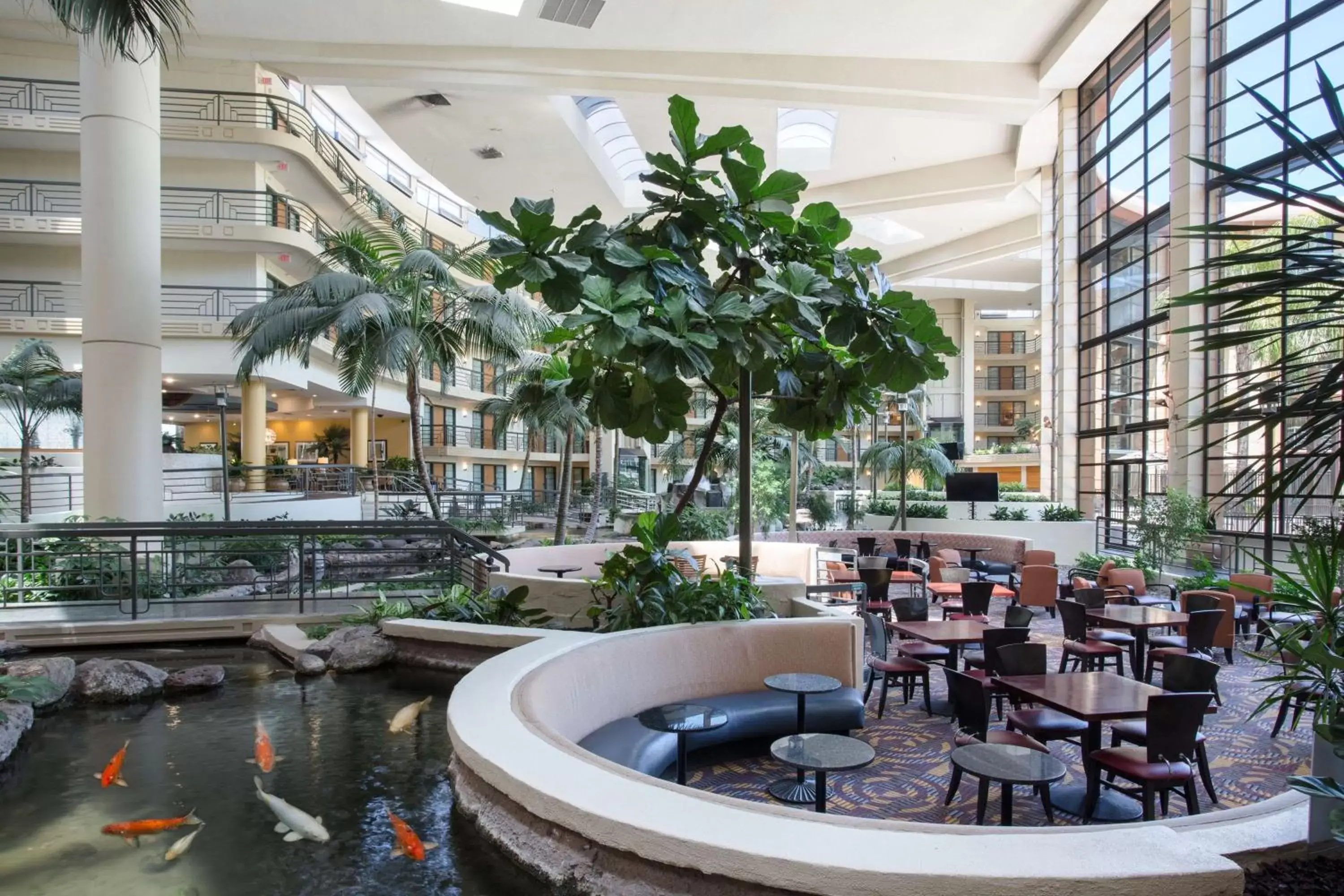 Restaurant/Places to Eat in Embassy Suites by Hilton Phoenix Biltmore