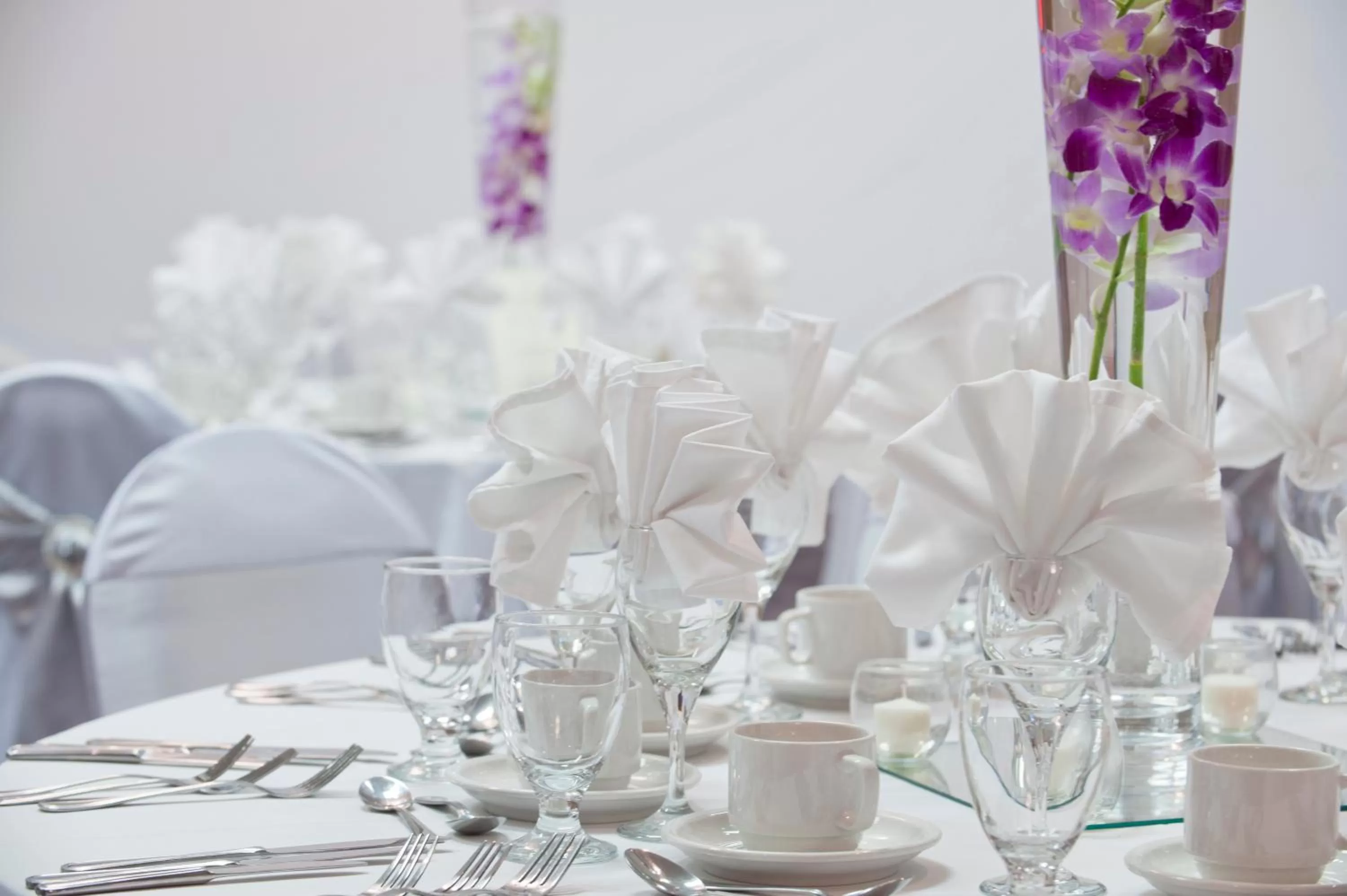 Banquet/Function facilities in Ramada Plaza by Wyndham Prince George