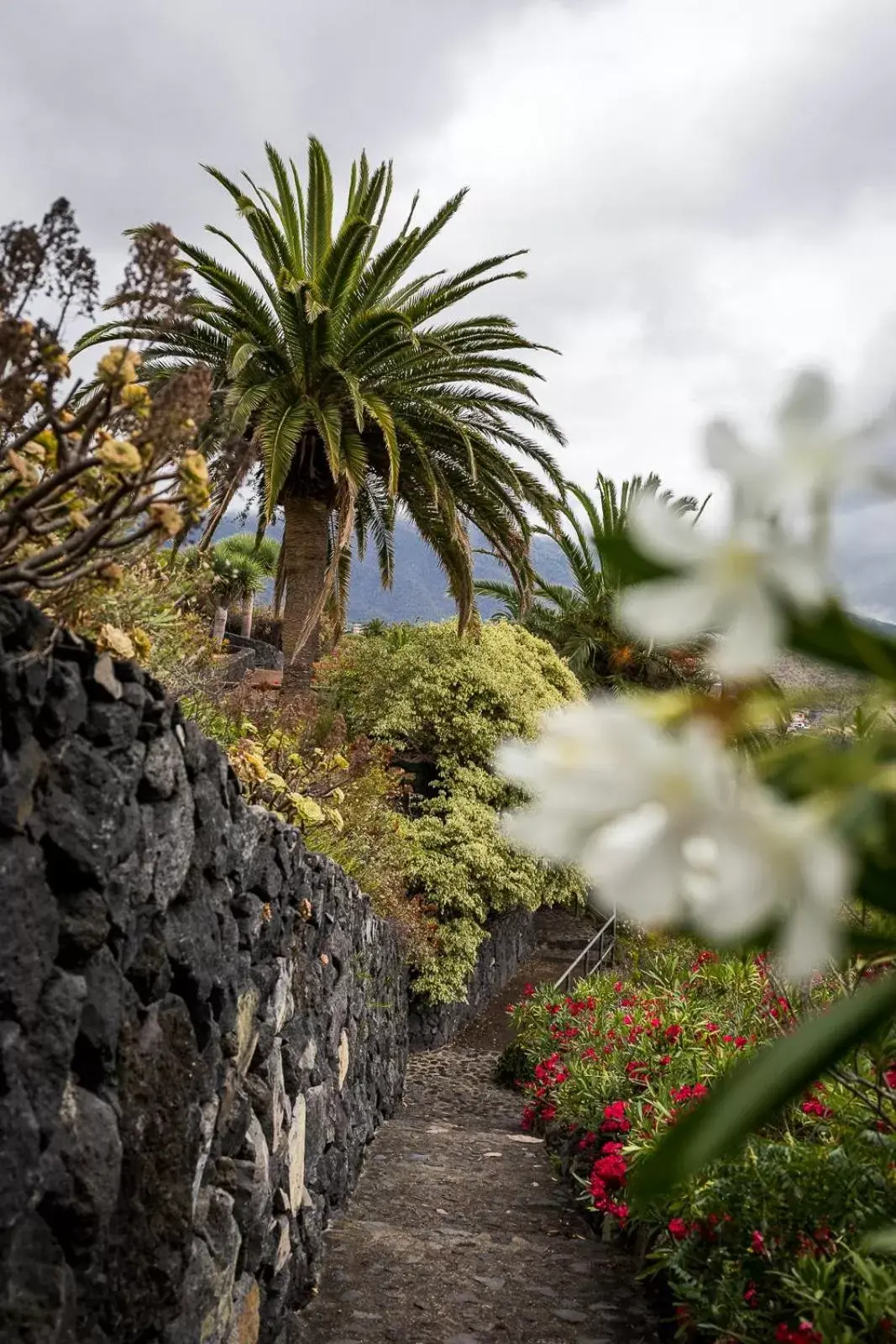 Garden in Parador de La Palma