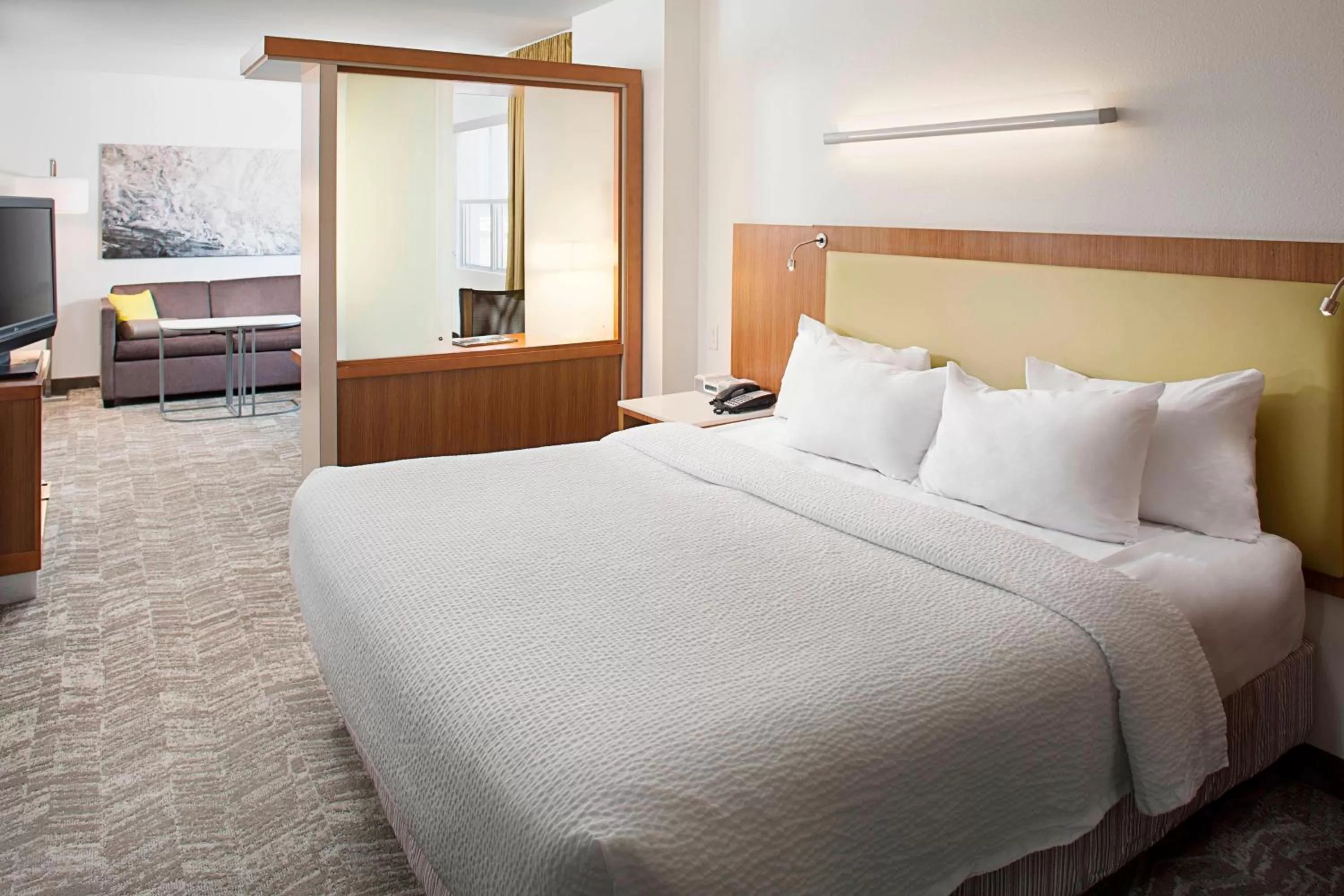 King Room with Sofa Bed in Springhill Suites by Marriott Savannah Downtown Historic District