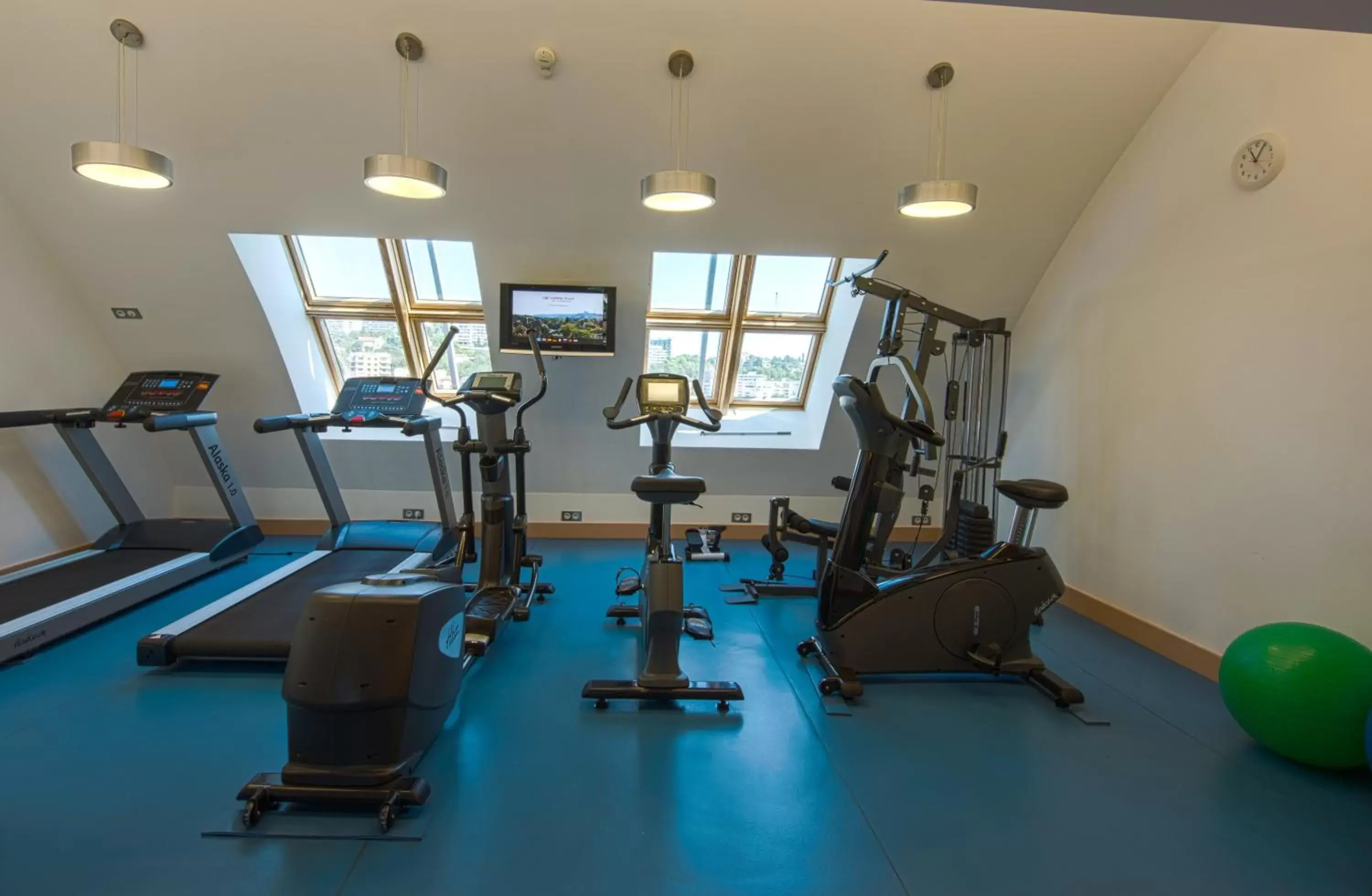 Fitness centre/facilities, Fitness Center/Facilities in Crowne Plaza Lyon Parc de la Tête d'Or