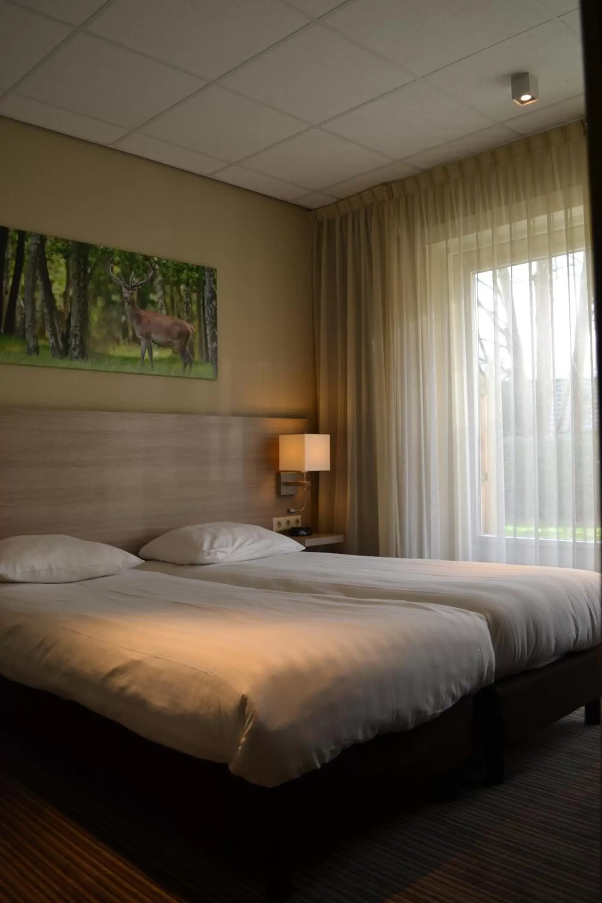 Comfort Double Room with Terrace in Fletcher Hotel Het Veluwse Bos
