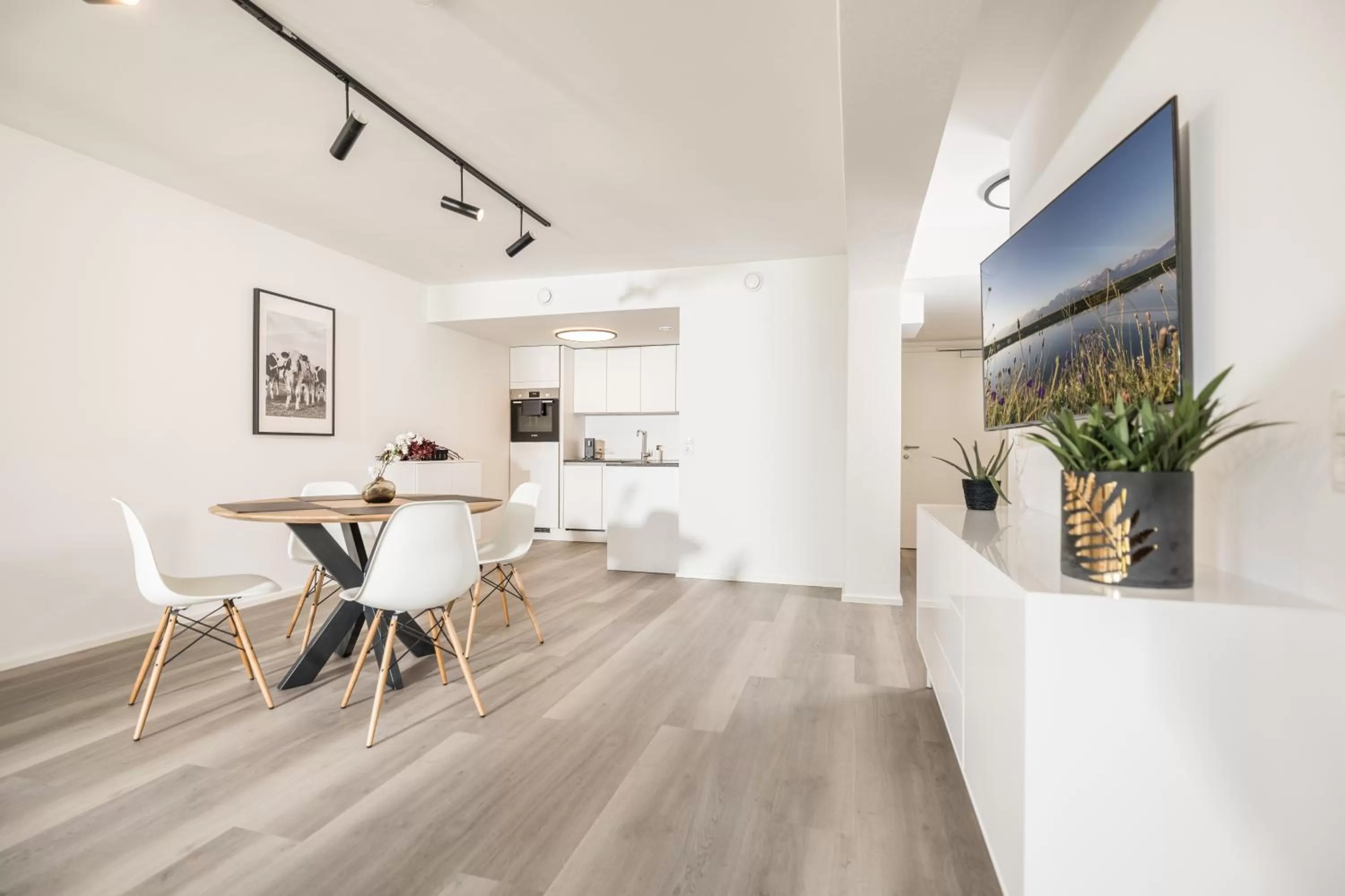 TV and multimedia in Max Studios