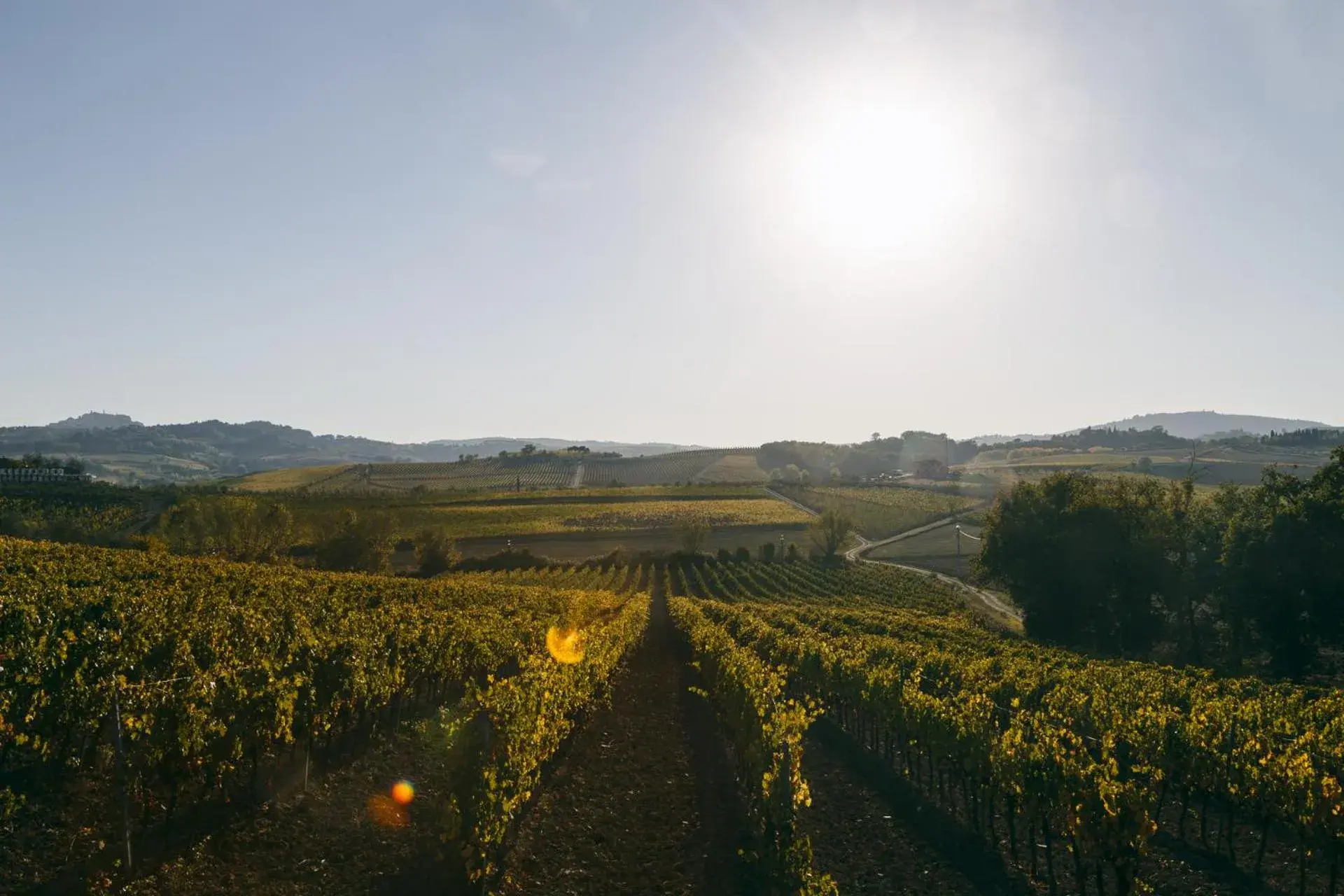 View (from property/room), Natural Landscape in L'Orto Di Panza