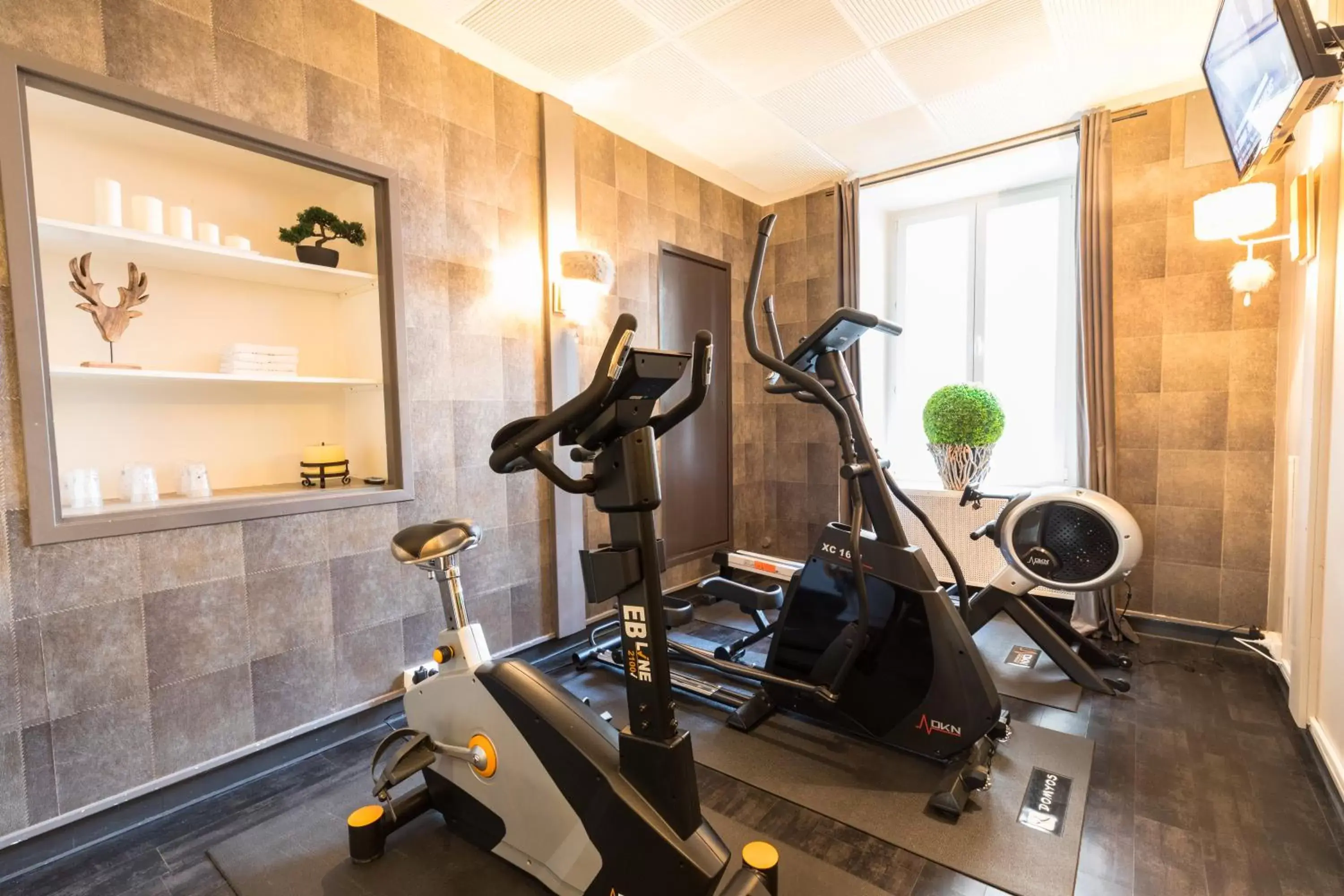 Fitness centre/facilities in Hôtel des Princes, Chambéry Centre Fitness centre/facilities in Hôtel des Princes, Chambéry Centre
