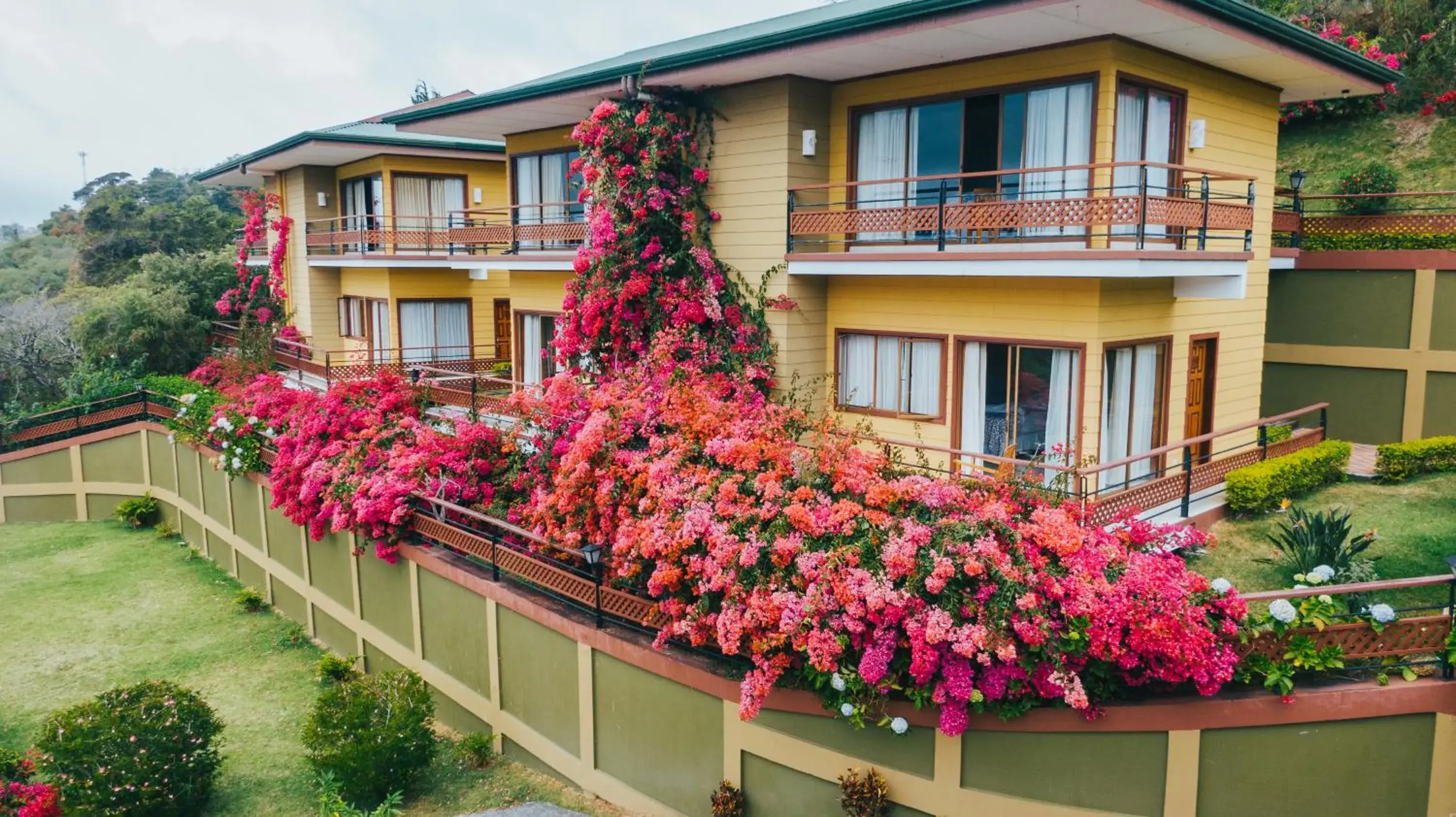 Property Building in Hotel Ficus - Monteverde