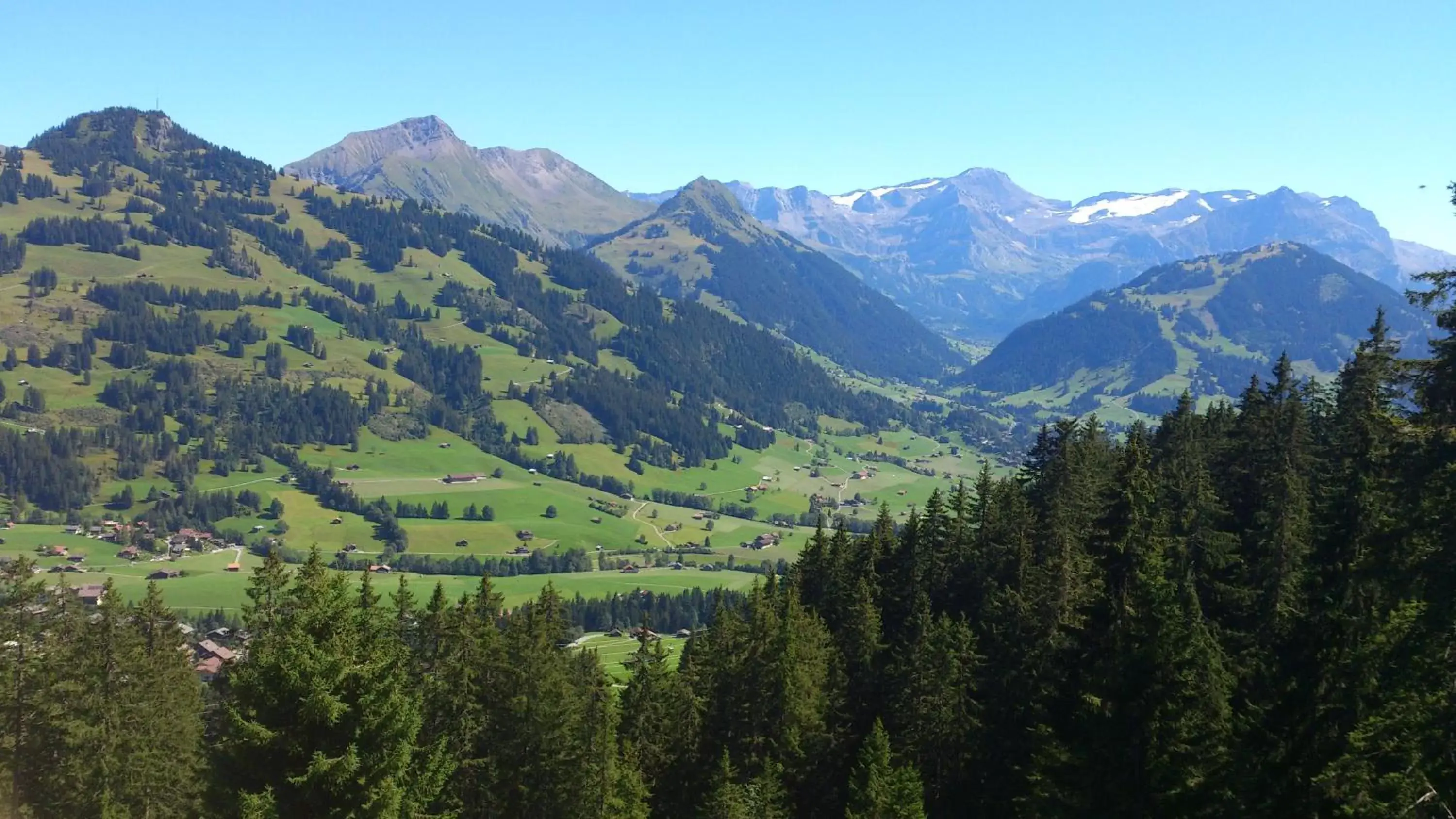 Hiking in Hotel Alpenrose mit Gourmet-Restaurant Azalée