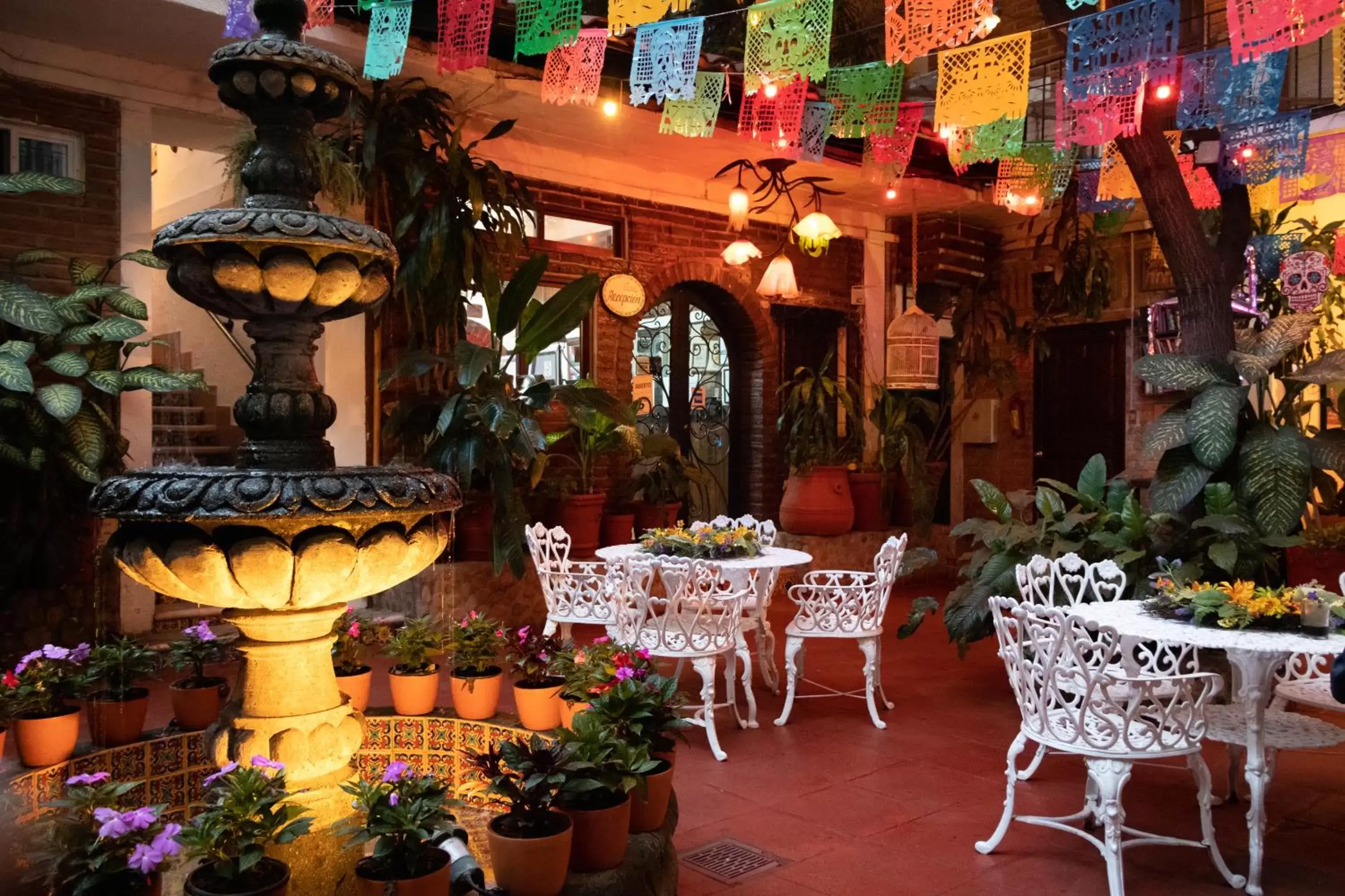 Patio, Restaurant/Places to Eat in Hotel Posada De Roger