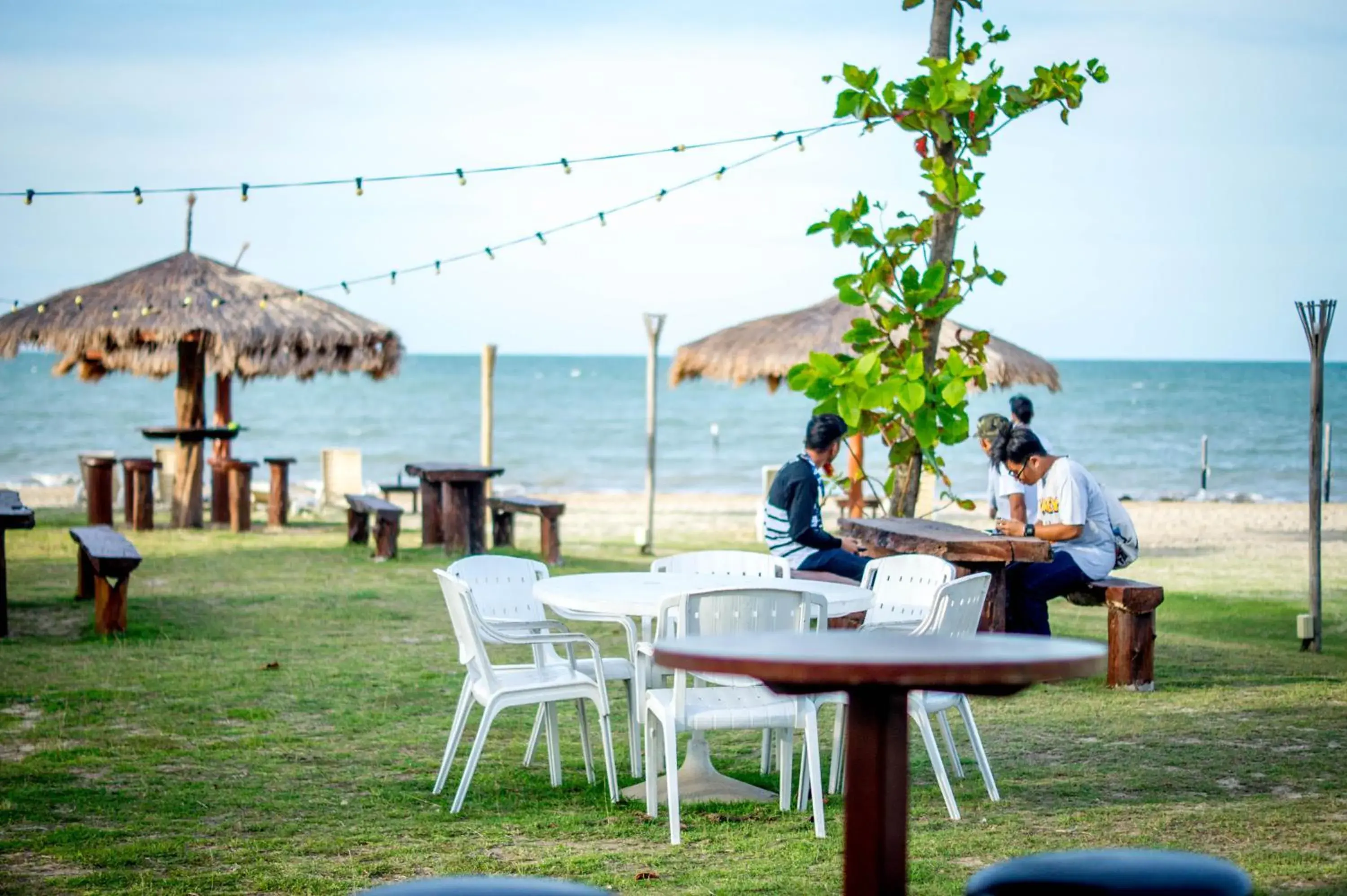 Beach in Palm Beach Resort & Spa