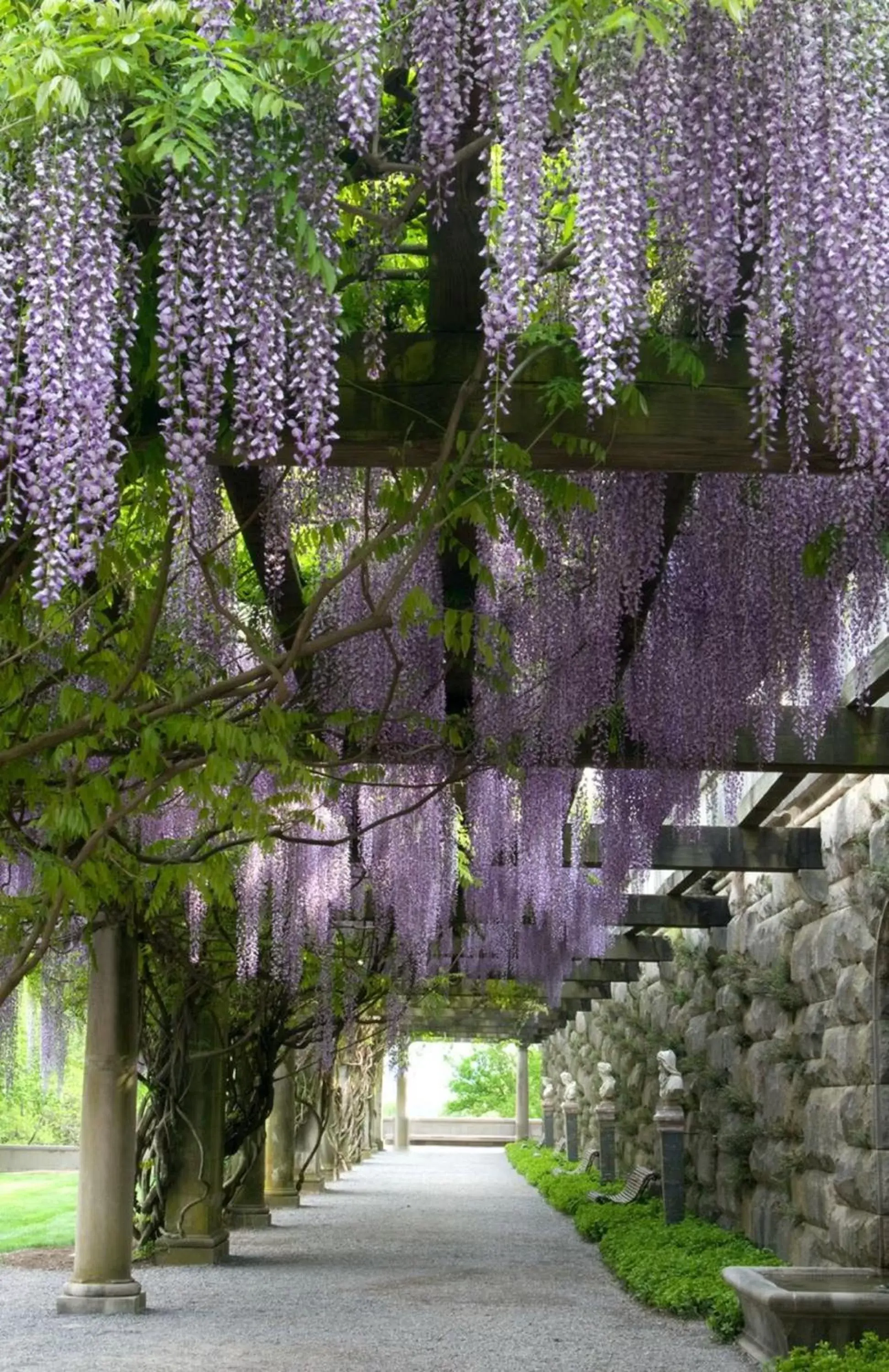 Garden in Village Hotel on Biltmore Estate