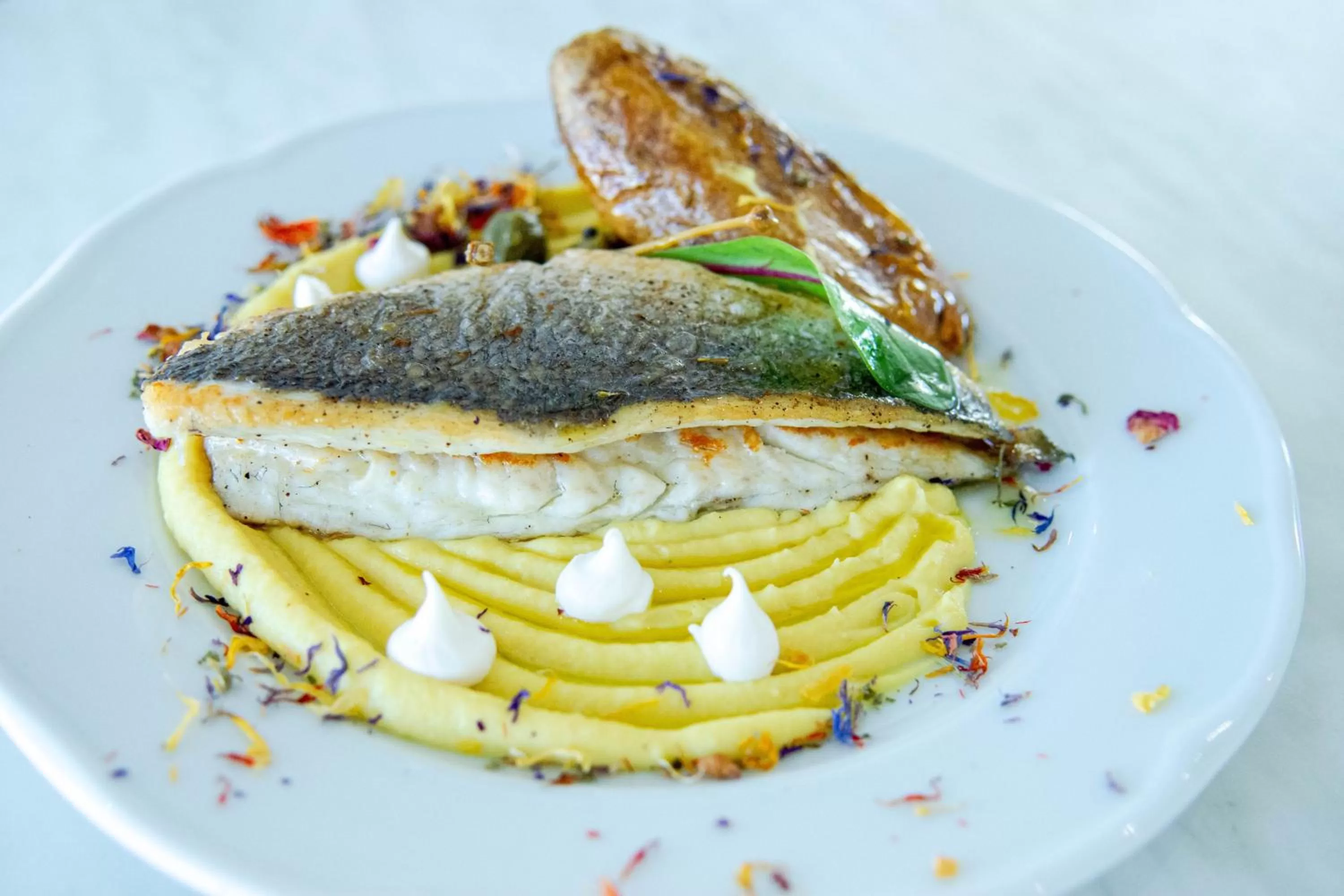 FRESH HOTEL FALIRAKI