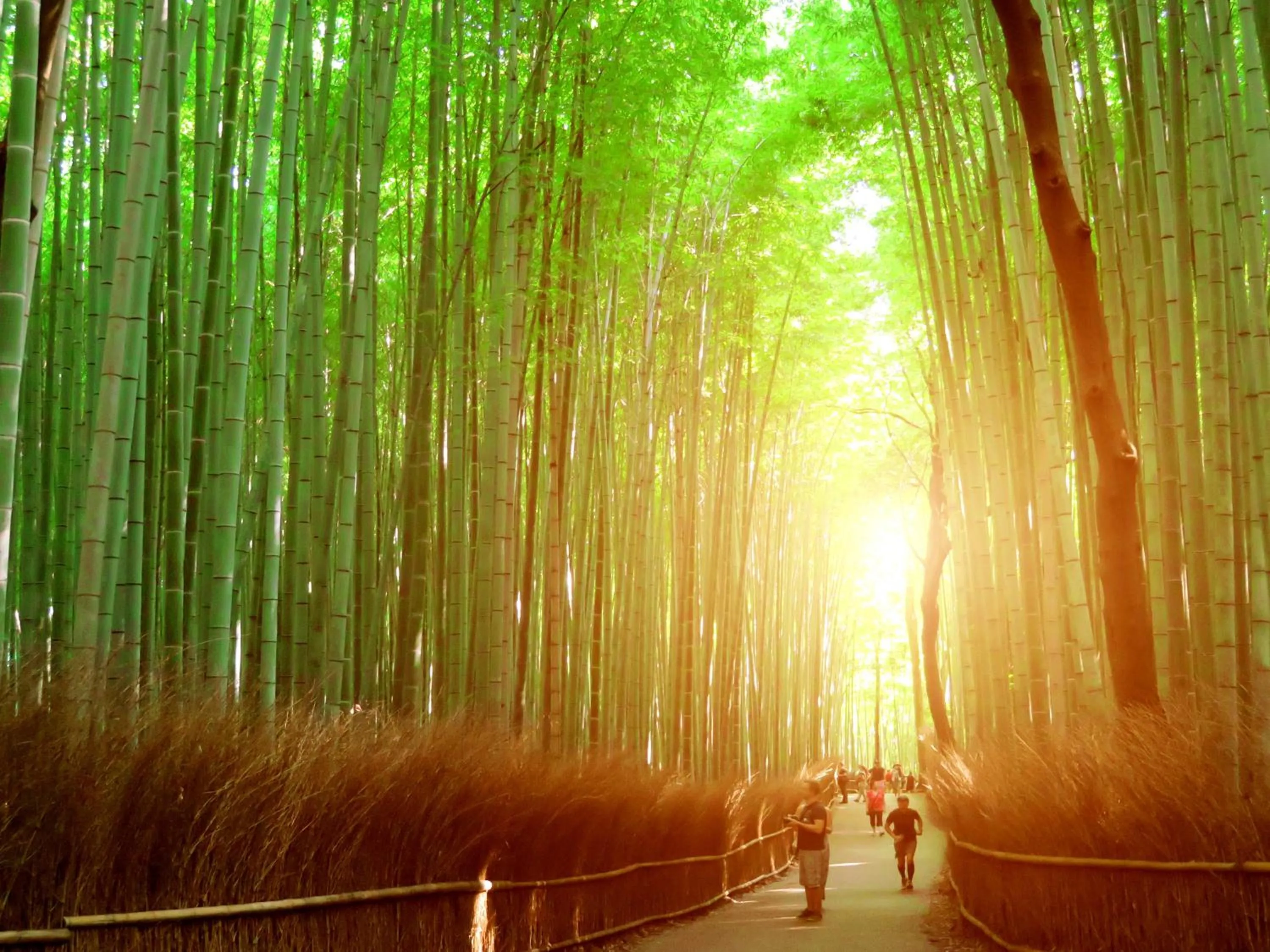 Nearby landmark in KOKO HOTEL Higashiosaka - formerly Hotel Wing International Select Higashi Osaka