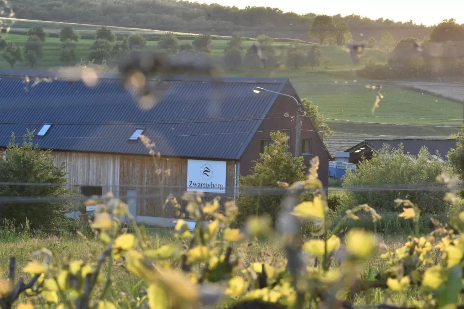 Wijndomein Zwaeneberg Wijndomein Zwaeneberg