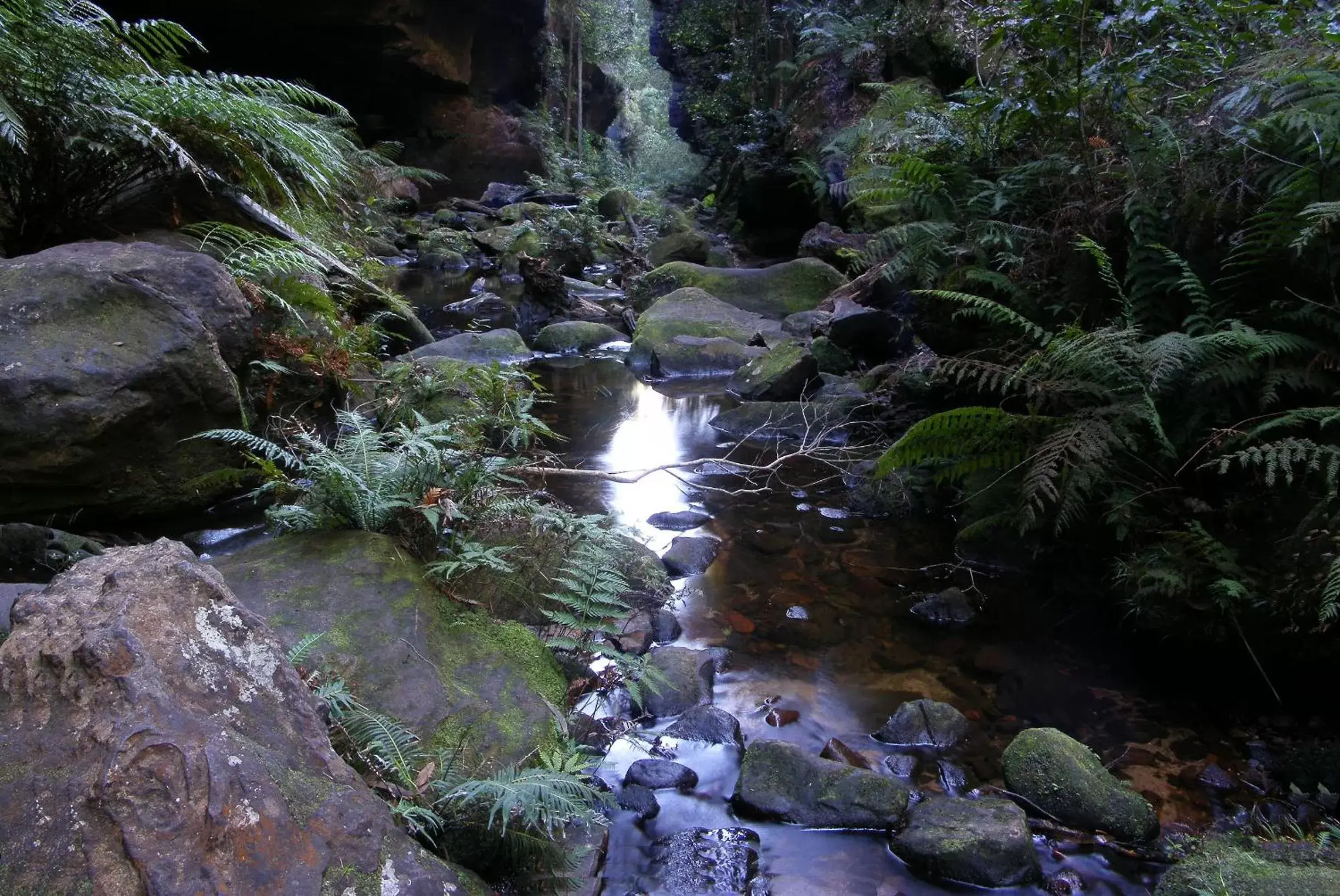 Off site, Natural Landscape in Blue Mountains Heritage Motel