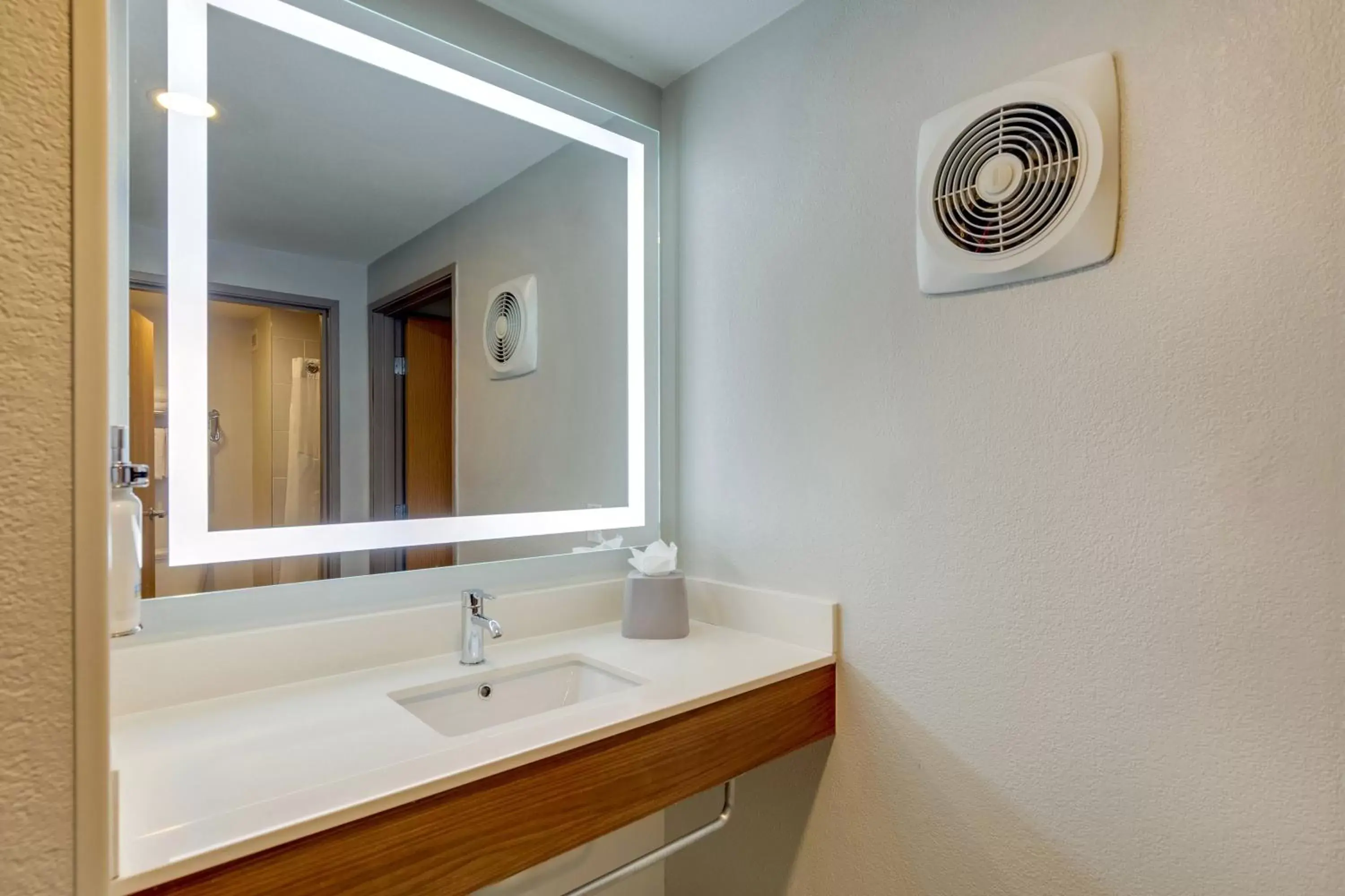 Bathroom in Holiday Inn Express I-95 Capitol Beltway - Largo, an IHG Hotel