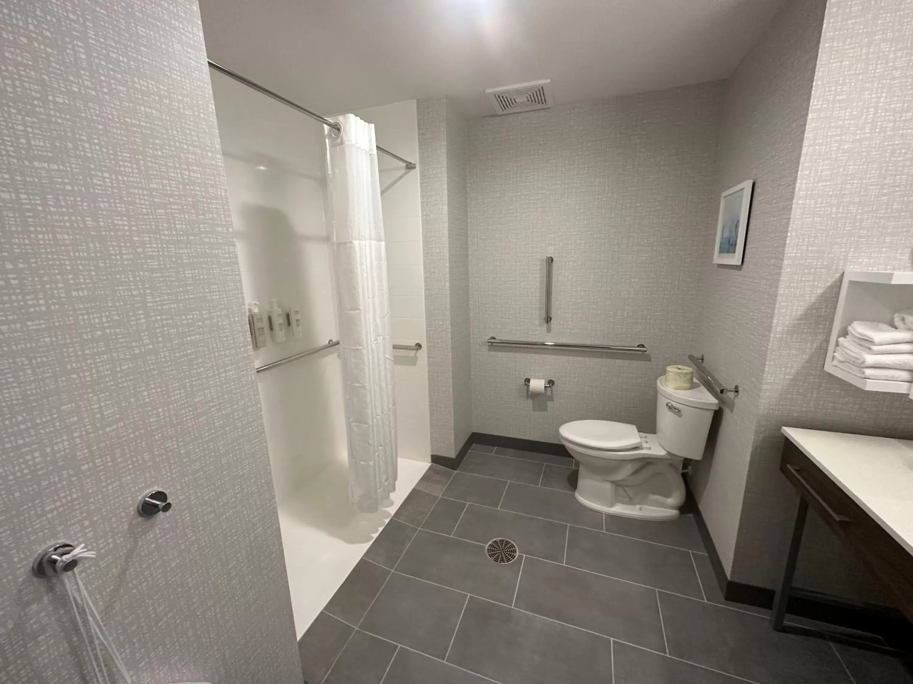 King Room with Roll-In Shower - Mobility and Hearing Access/Non-Smoking in Hampton Inn & Suites Ruskin I-75, FL