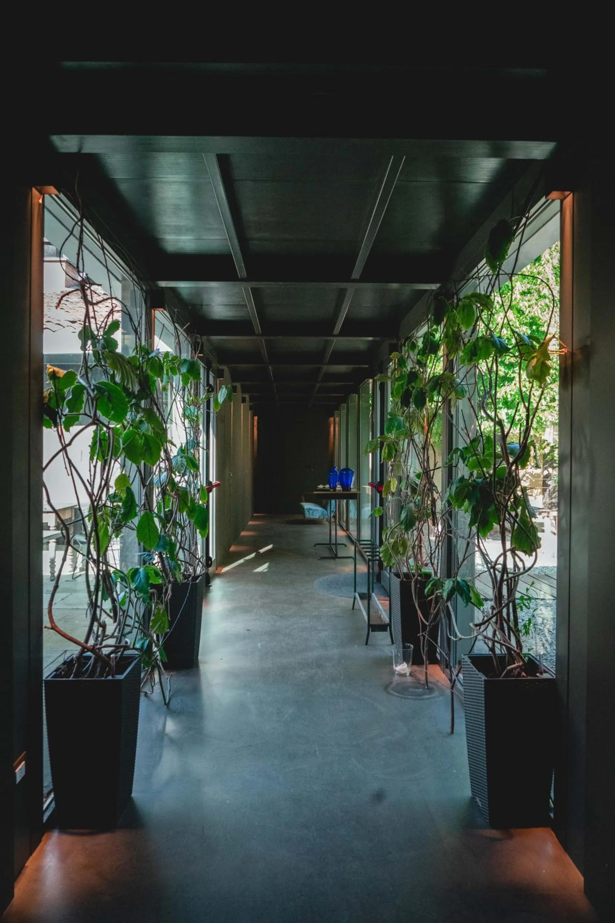 Area and facilities in Boutique Hotel Borgo Nuovo