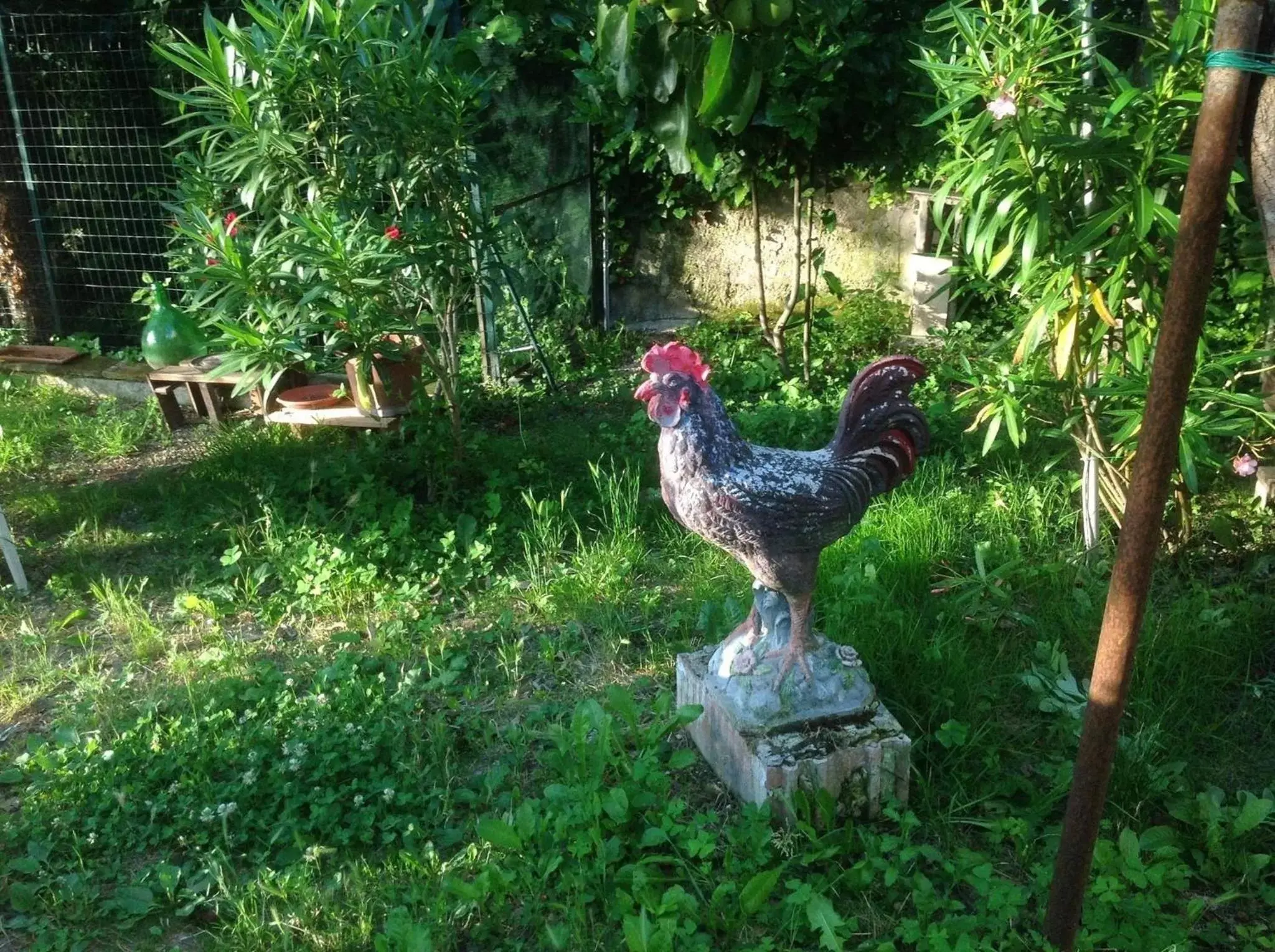 Decorative detail, Other Animals in Il Giardino del Gallo