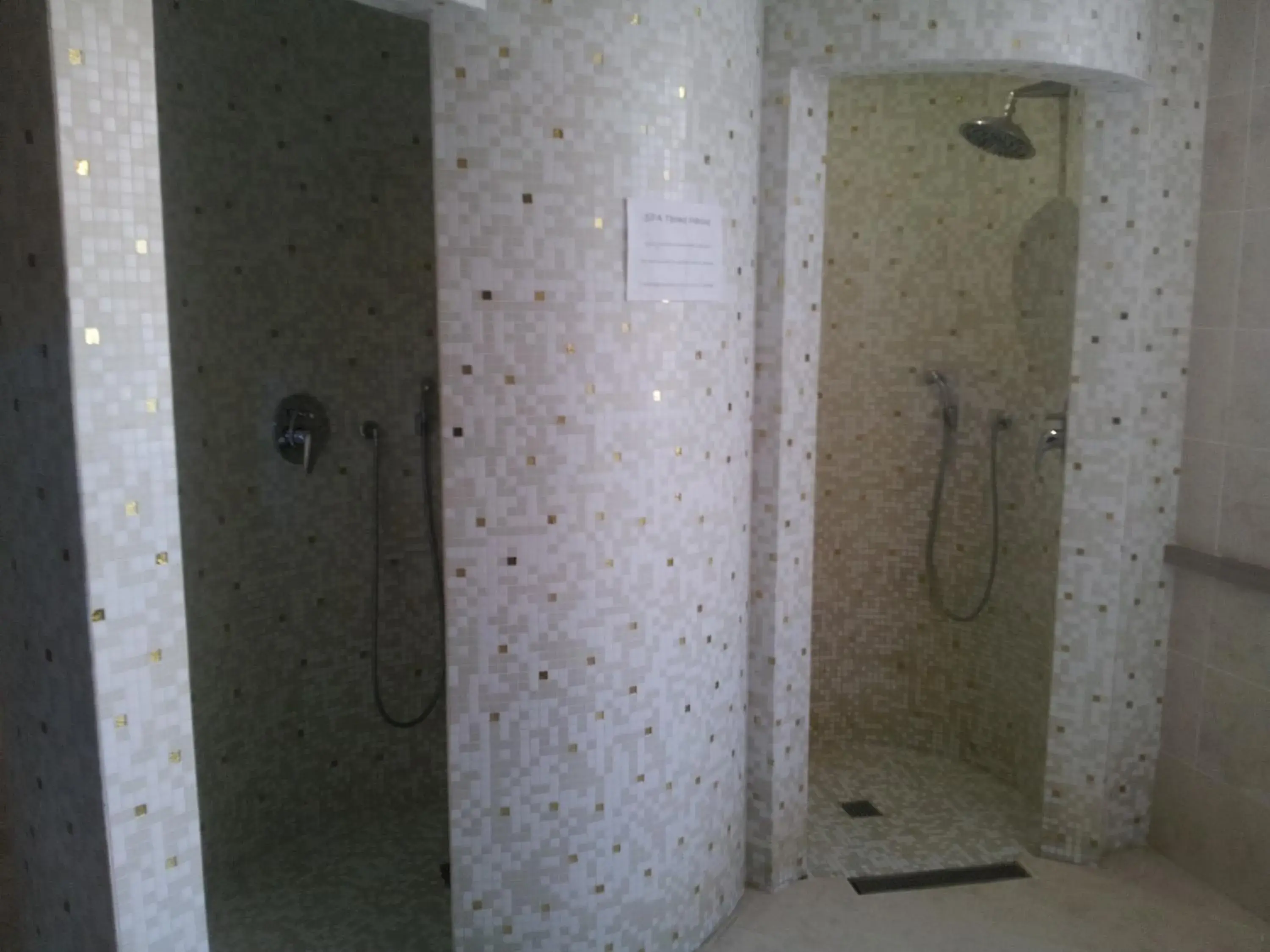 Spa and wellness centre/facilities, Bathroom in Hotel Terme Marine Leopoldo Ii