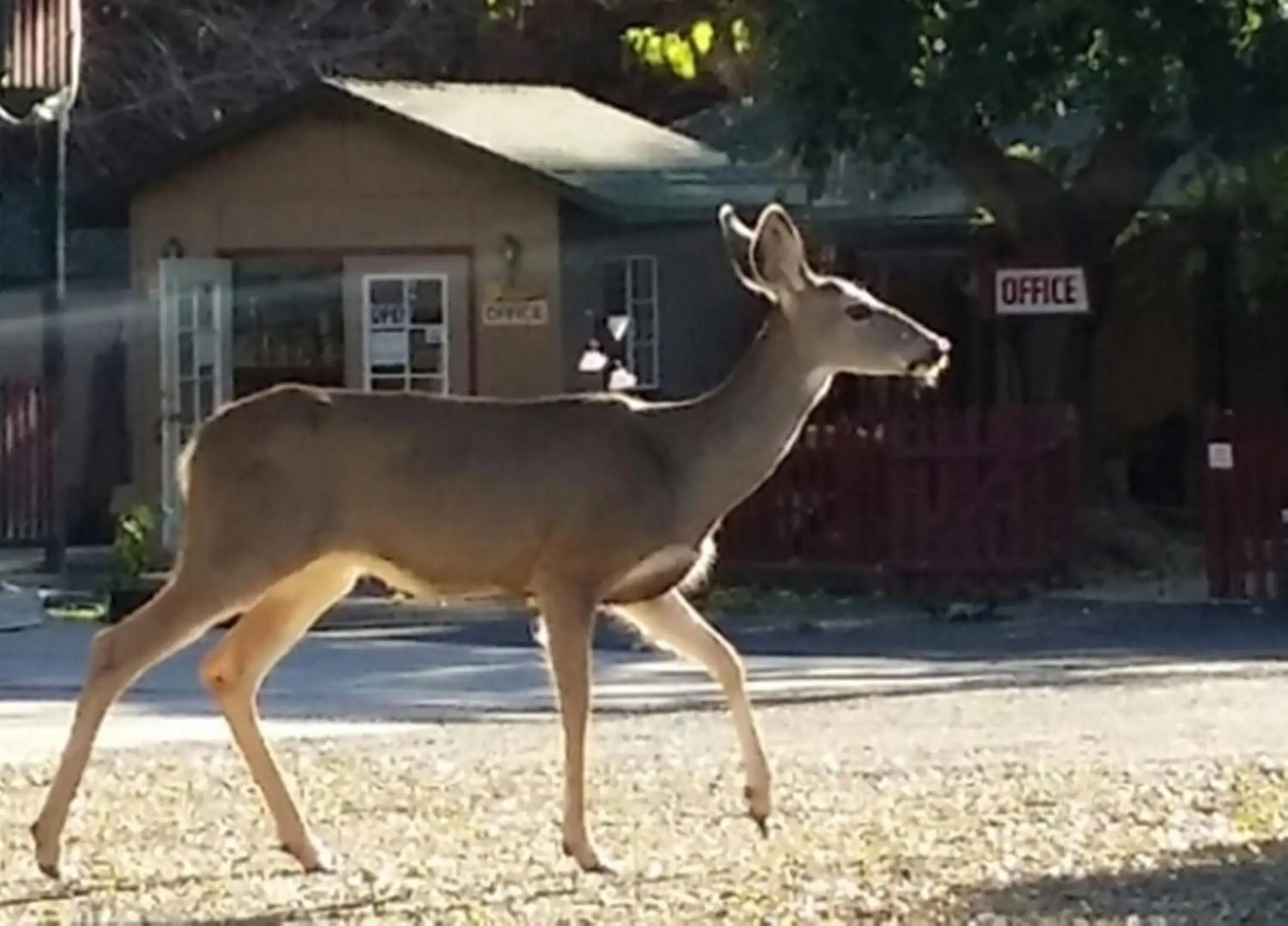 Facade/entrance, Other Animals in The River Inn