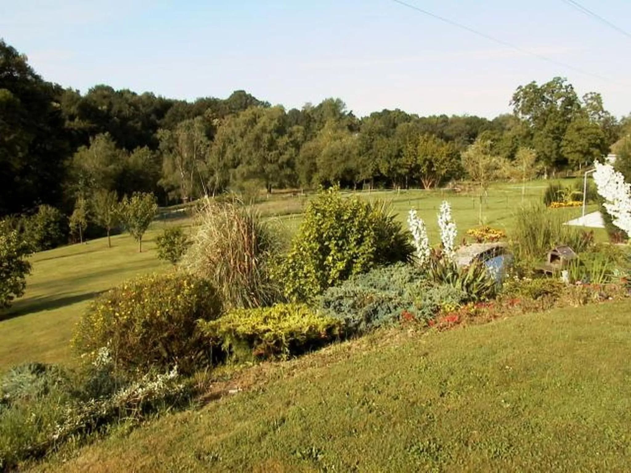Garden in Chambres d'Hôtes de l'Auraine