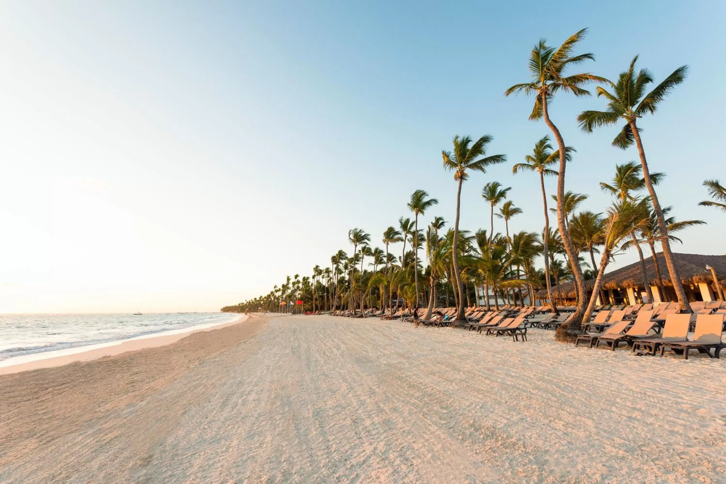 Occidental Punta Cana - All Inclusive Occidental Punta Cana - All Inclusive