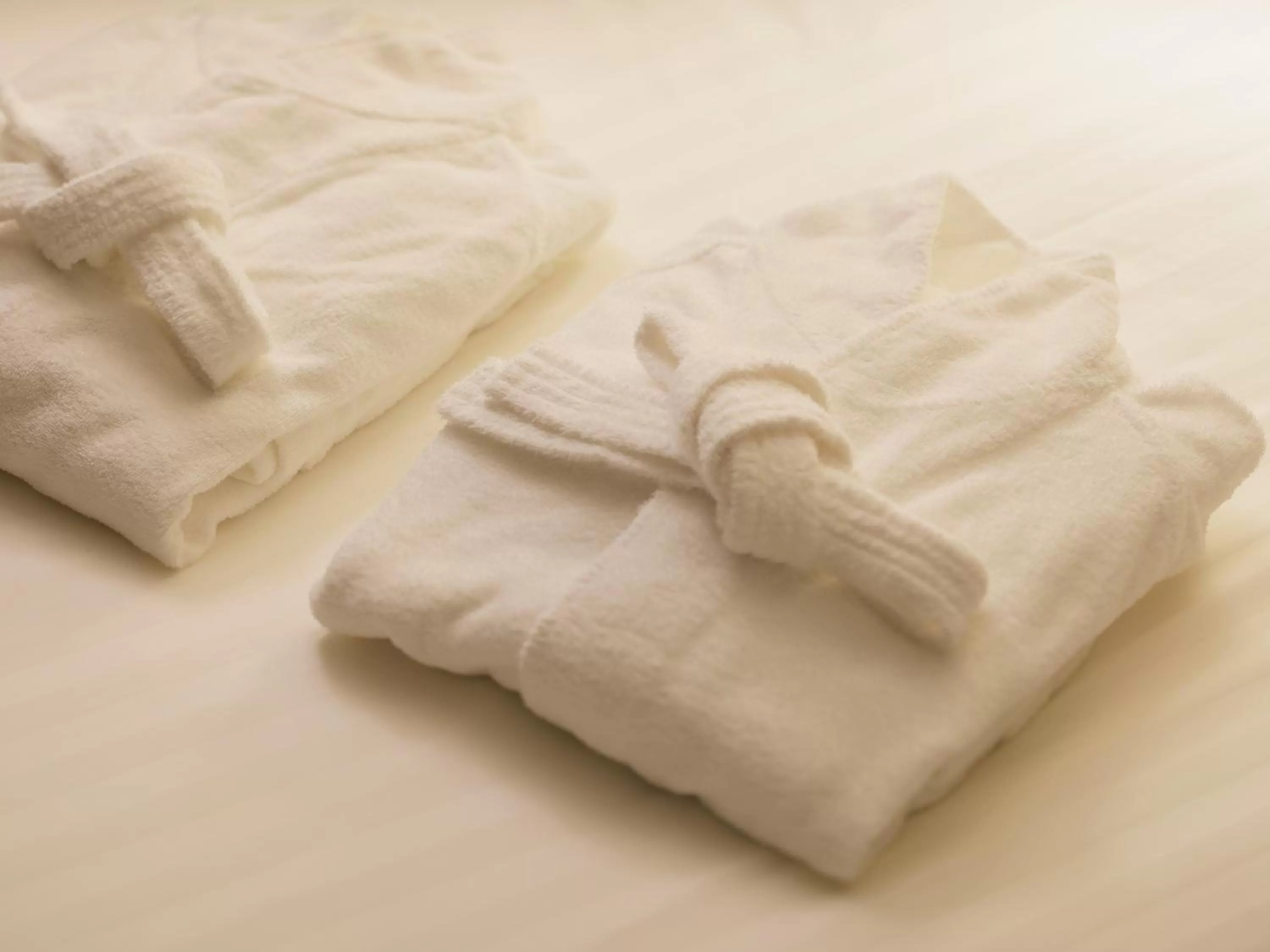 Other in The HOTEL SANRAKU KANAZAWA