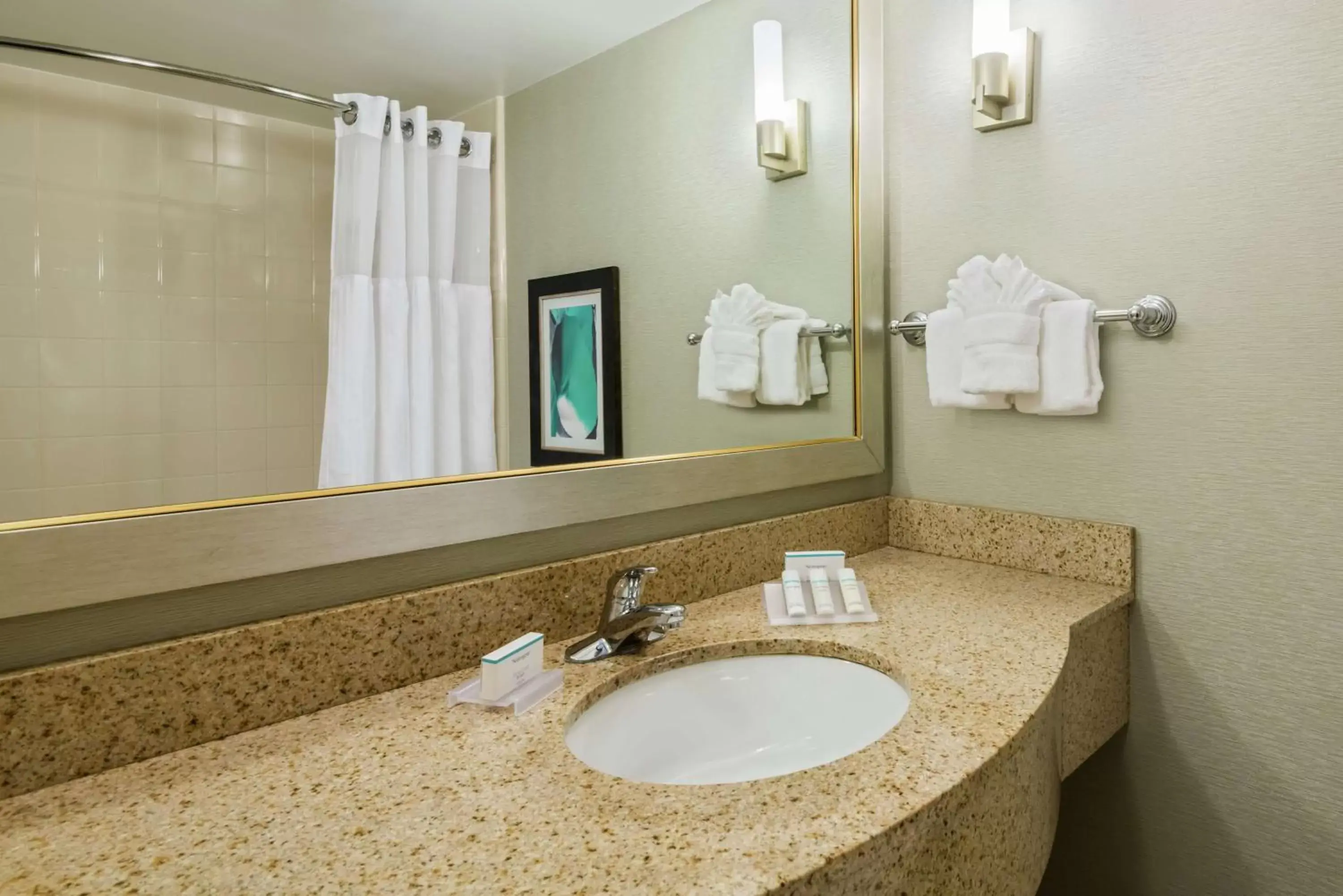 Bathroom in Hilton Garden Inn Orlando International Drive North