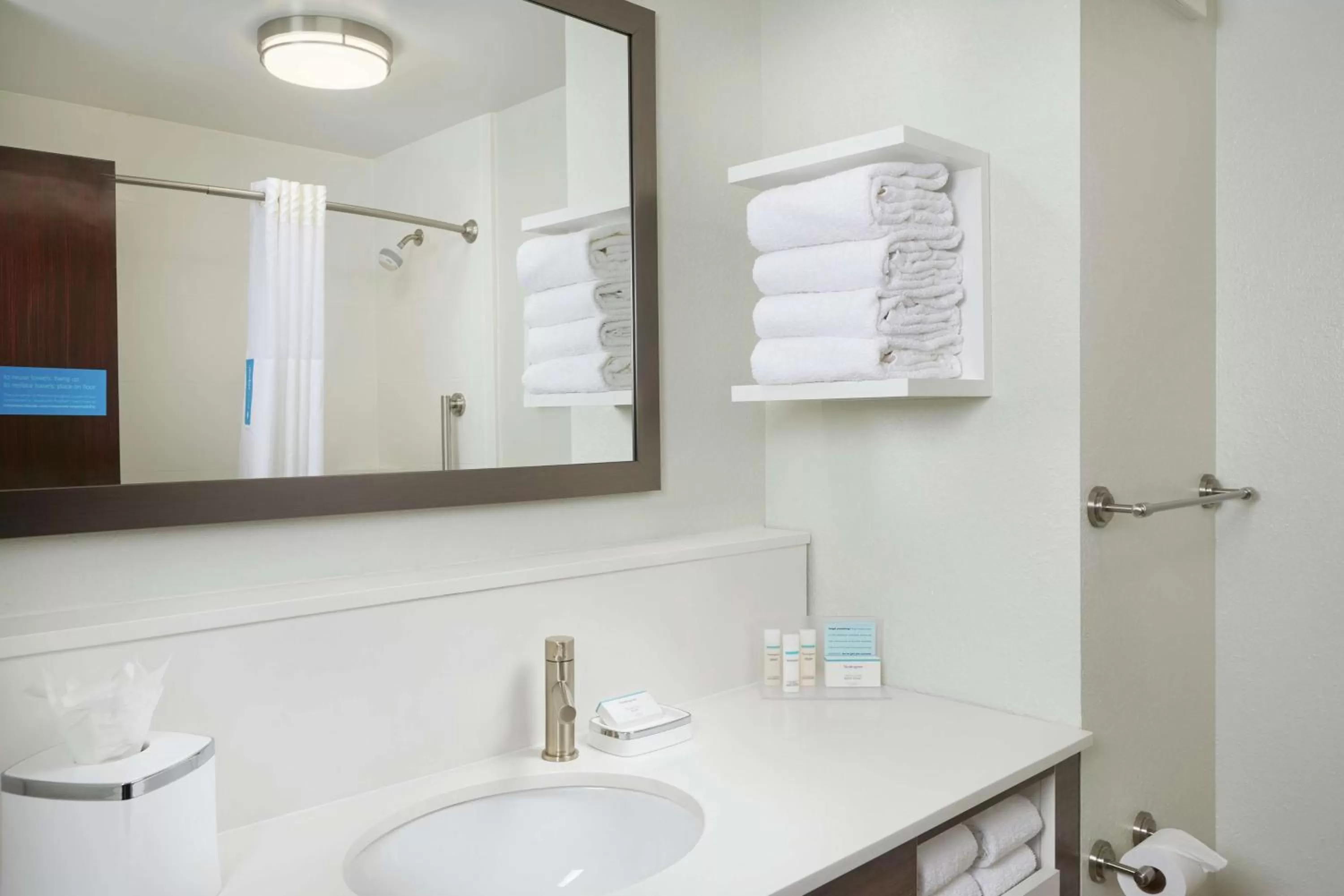 Bathroom in Hampton Inn Juno Beach