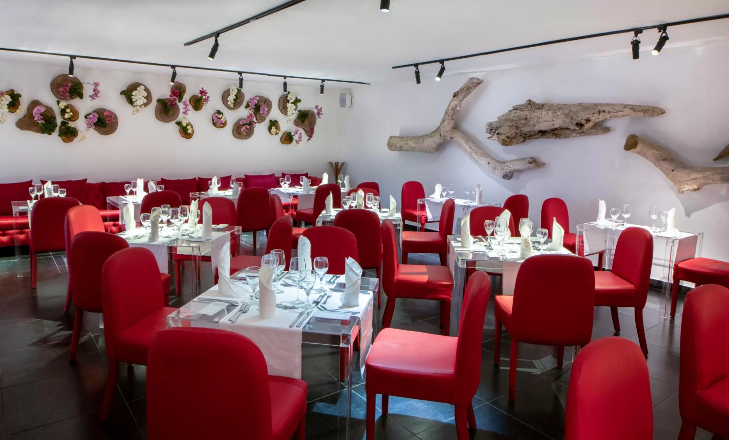 Restaurant/places to eat in Viva V Samana by Wyndham, A Trademark Adults All Inclusive