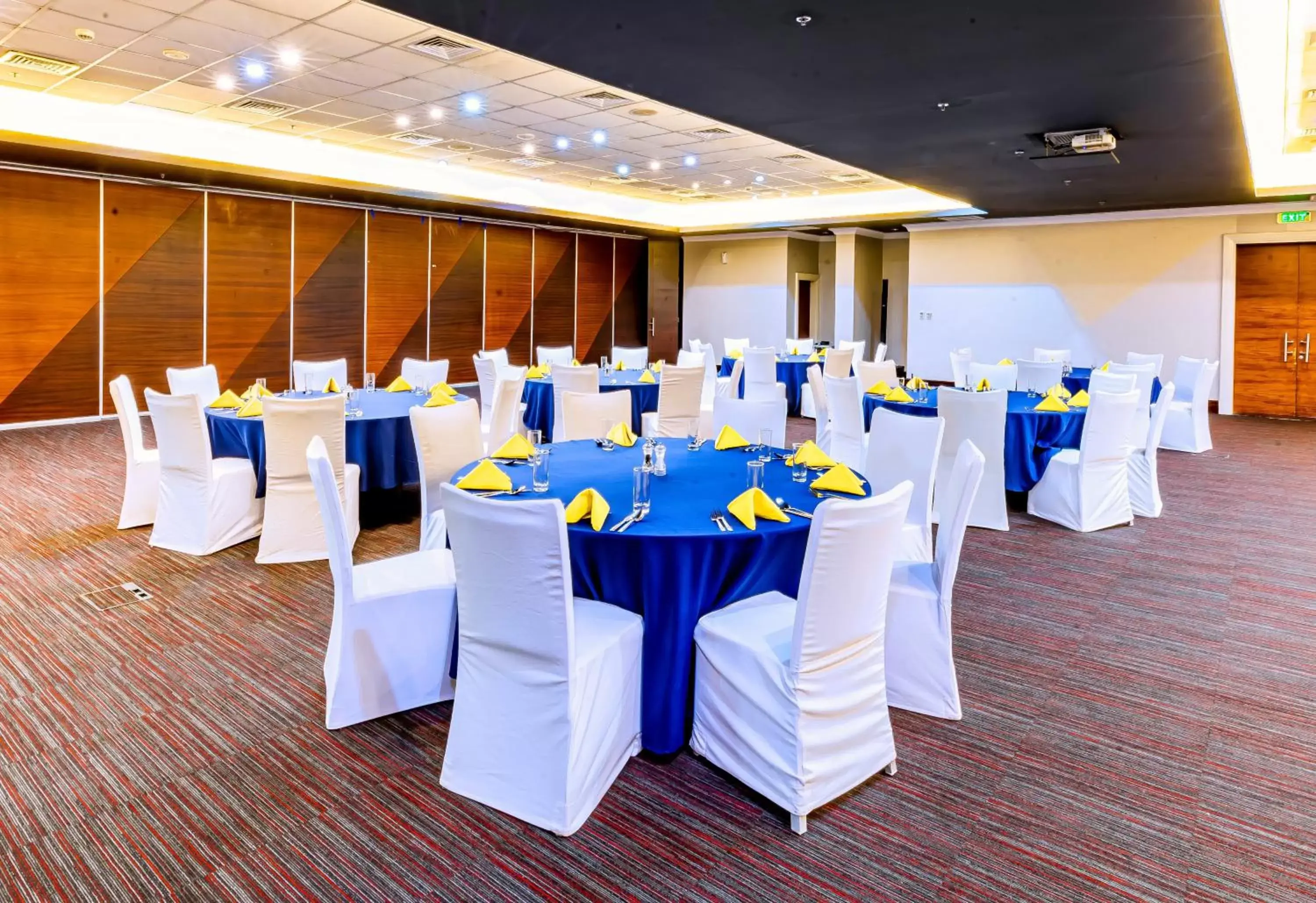 Meeting/conference room, Banquet Facilities in Park Inn by Radisson, Kigali