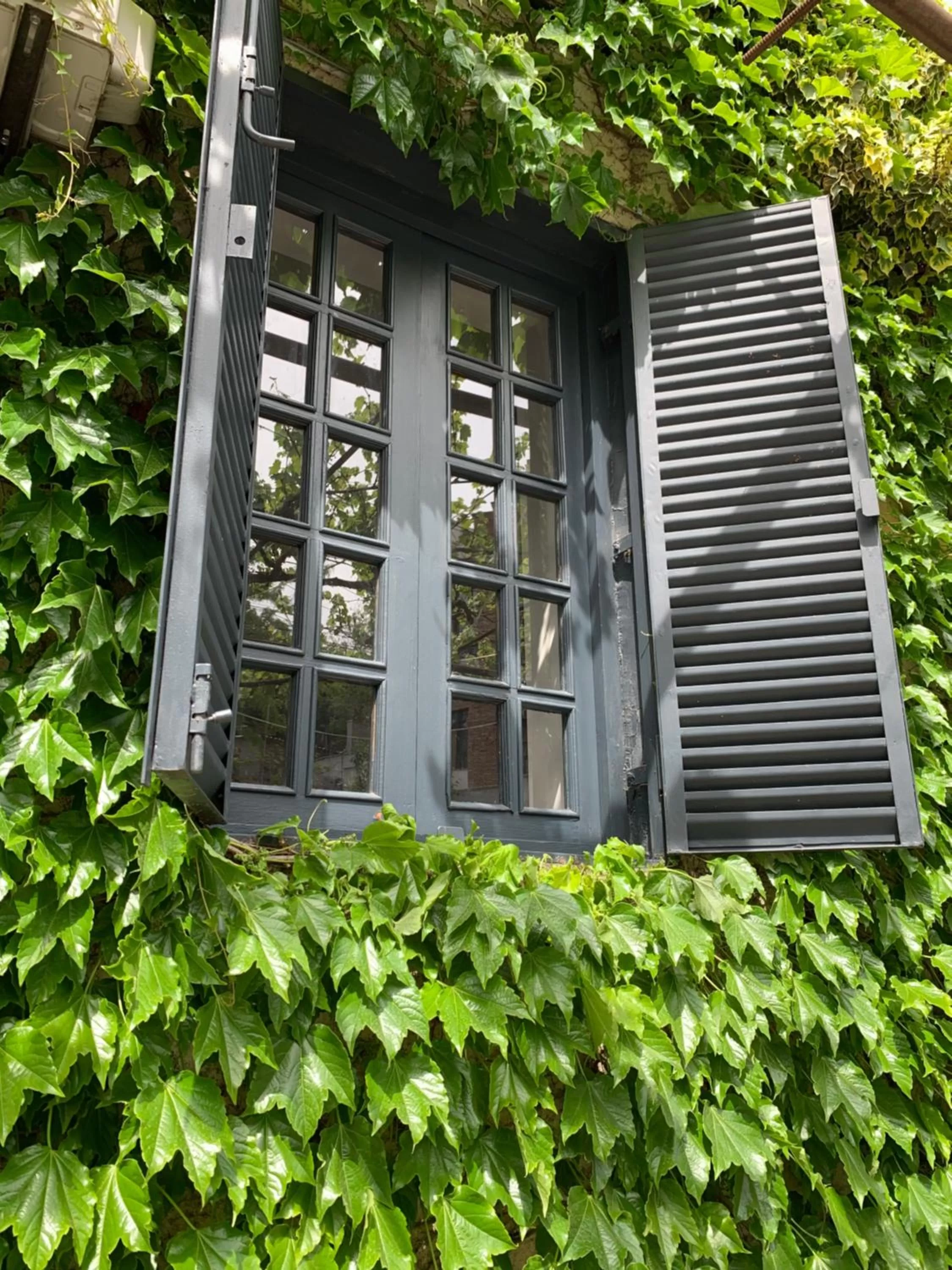 Property Building in Grape House