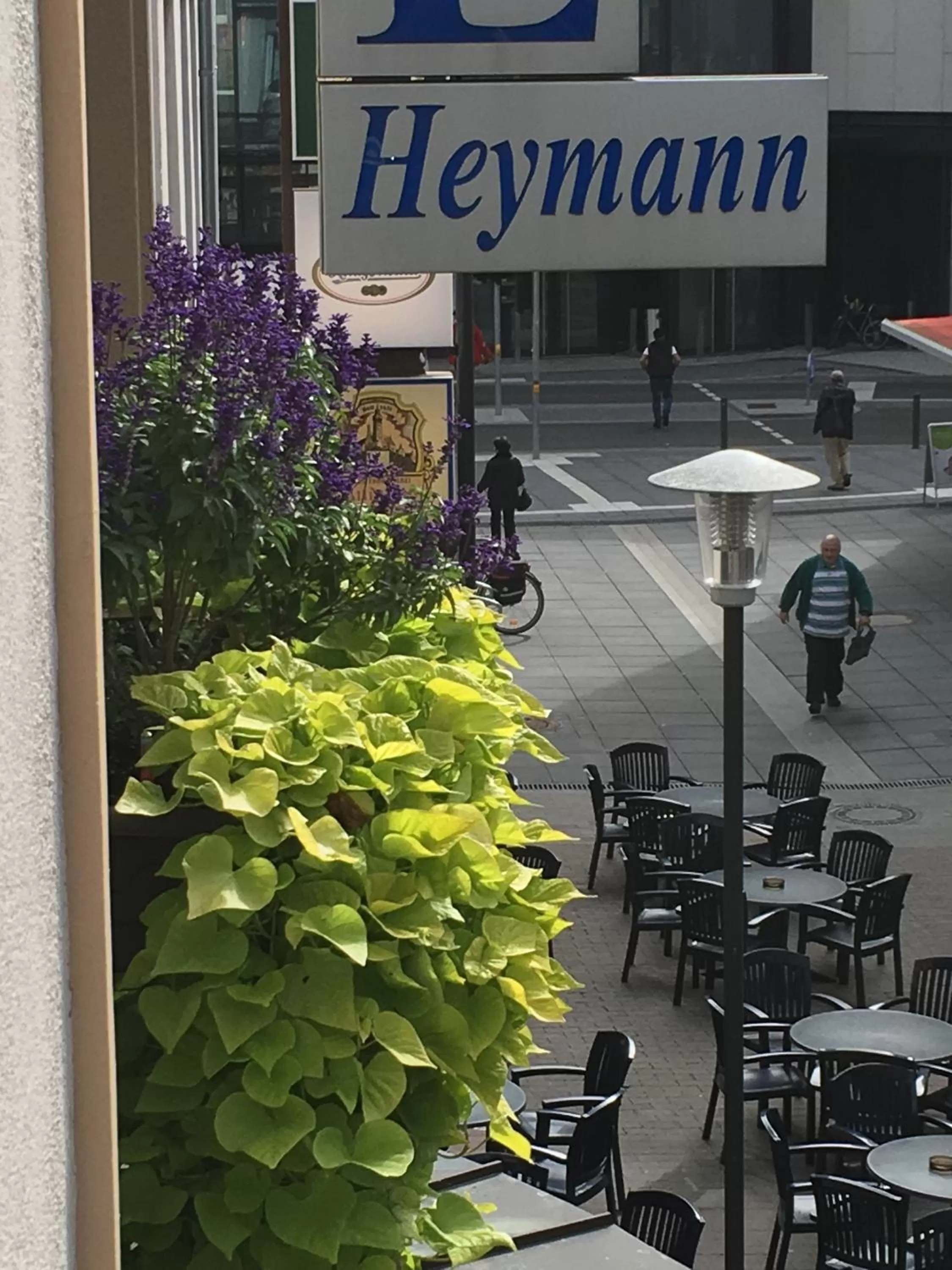 Restaurant/places to eat in Hotel Heymann