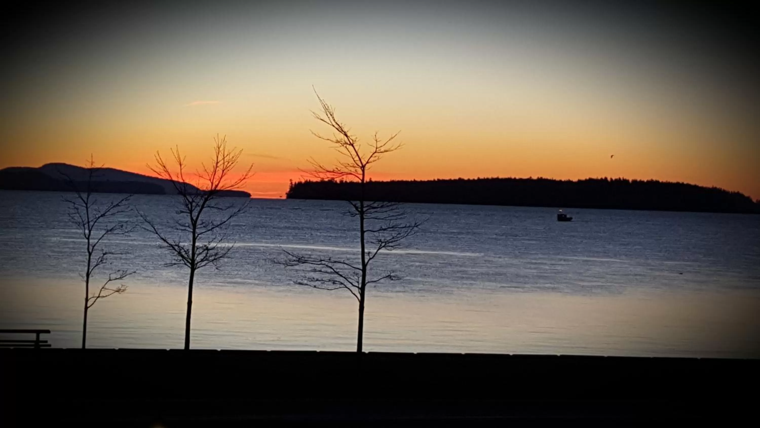 Beach in The Cedarwood Inn & Suites