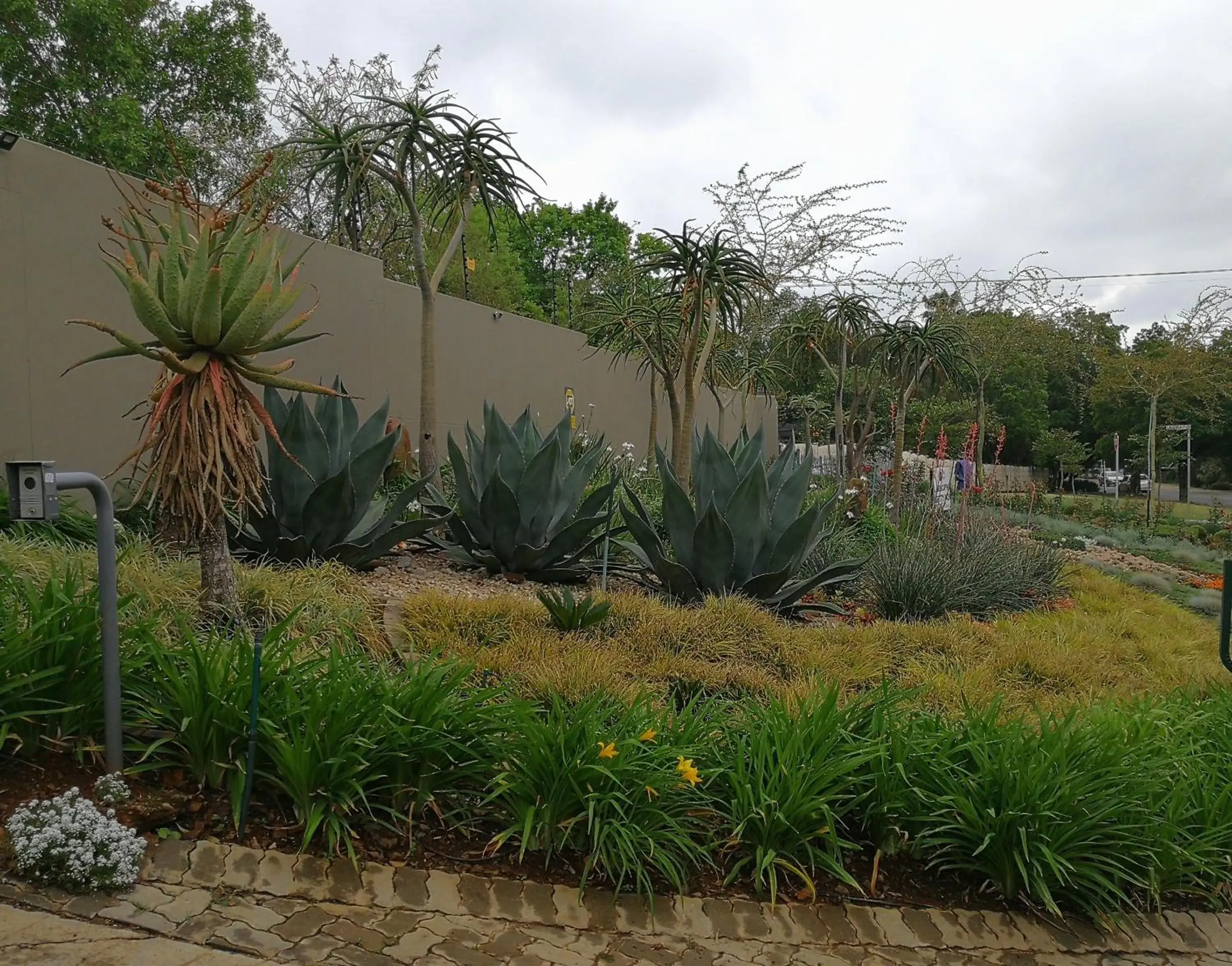 Street view, Garden in At 98 on Lynburn Guest House