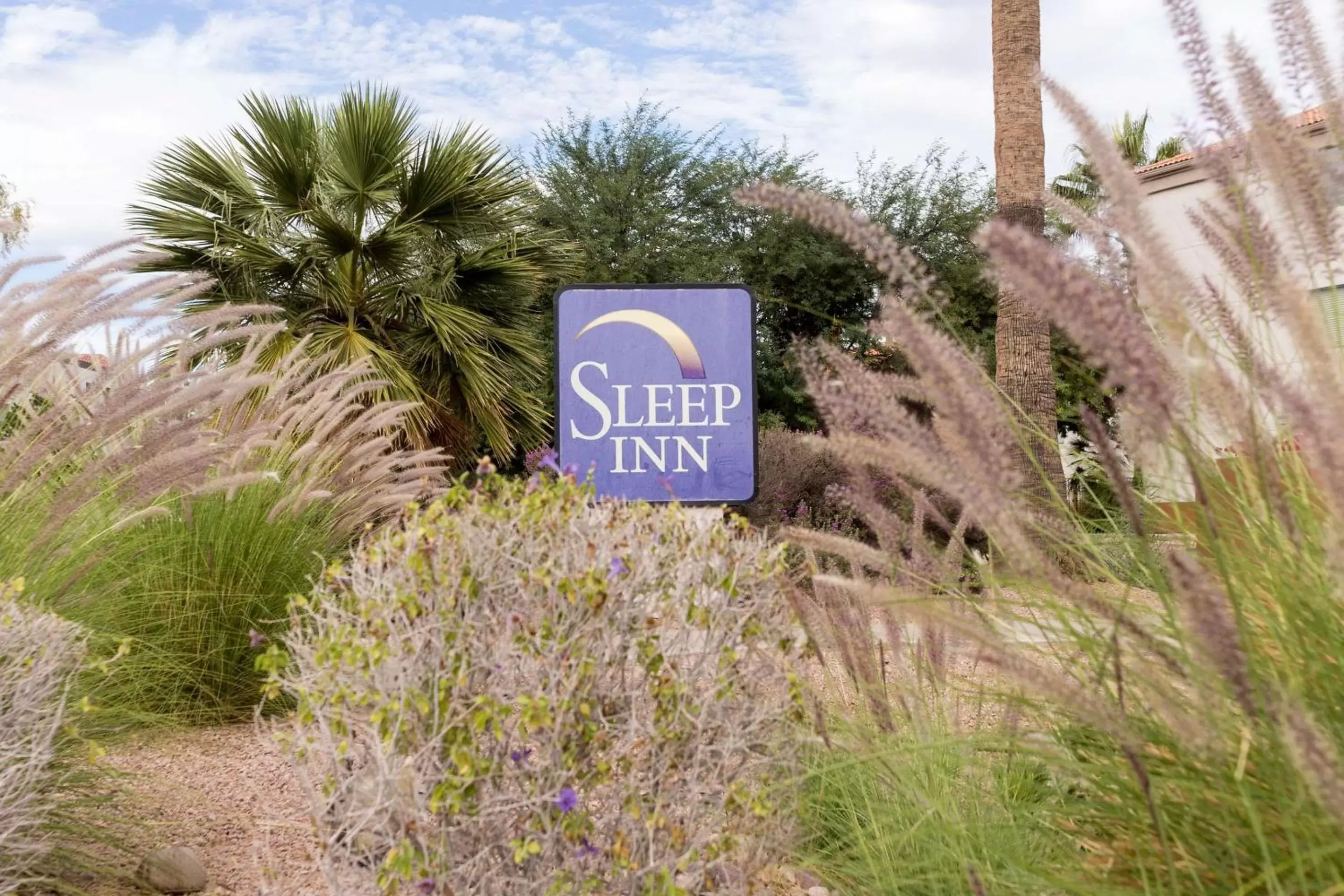 Property building, Property Logo/Sign in Sleep Inn Phoenix Sky Harbor Airport