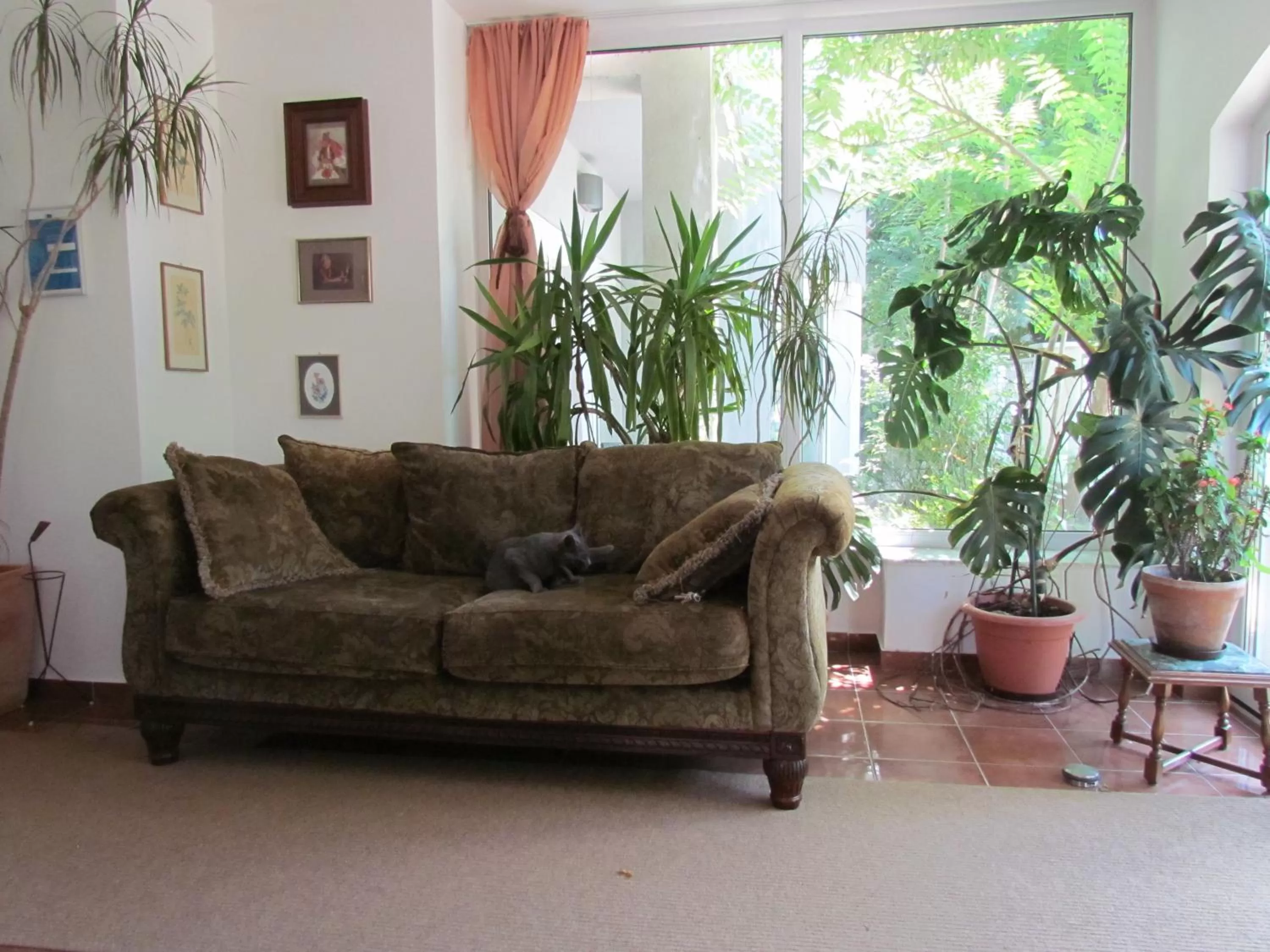 Other in Vila Vanda Vukovar