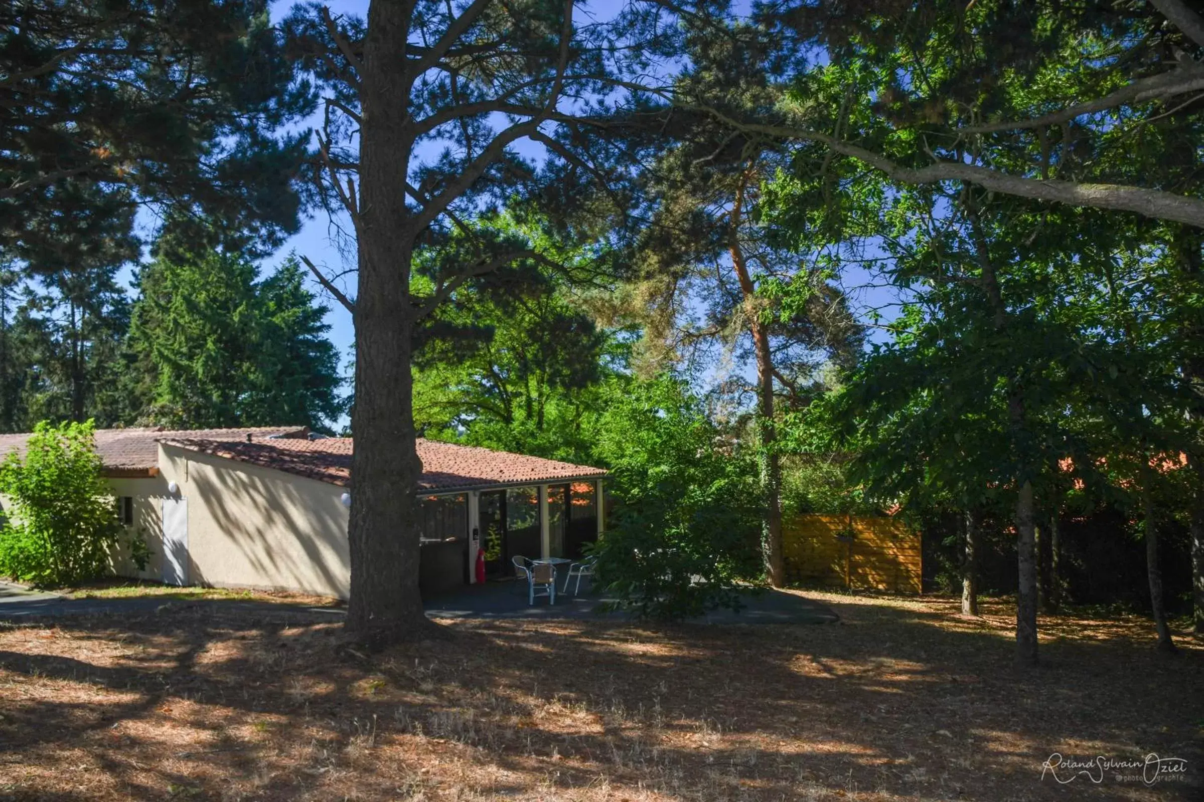 Property Building in La Chaumière