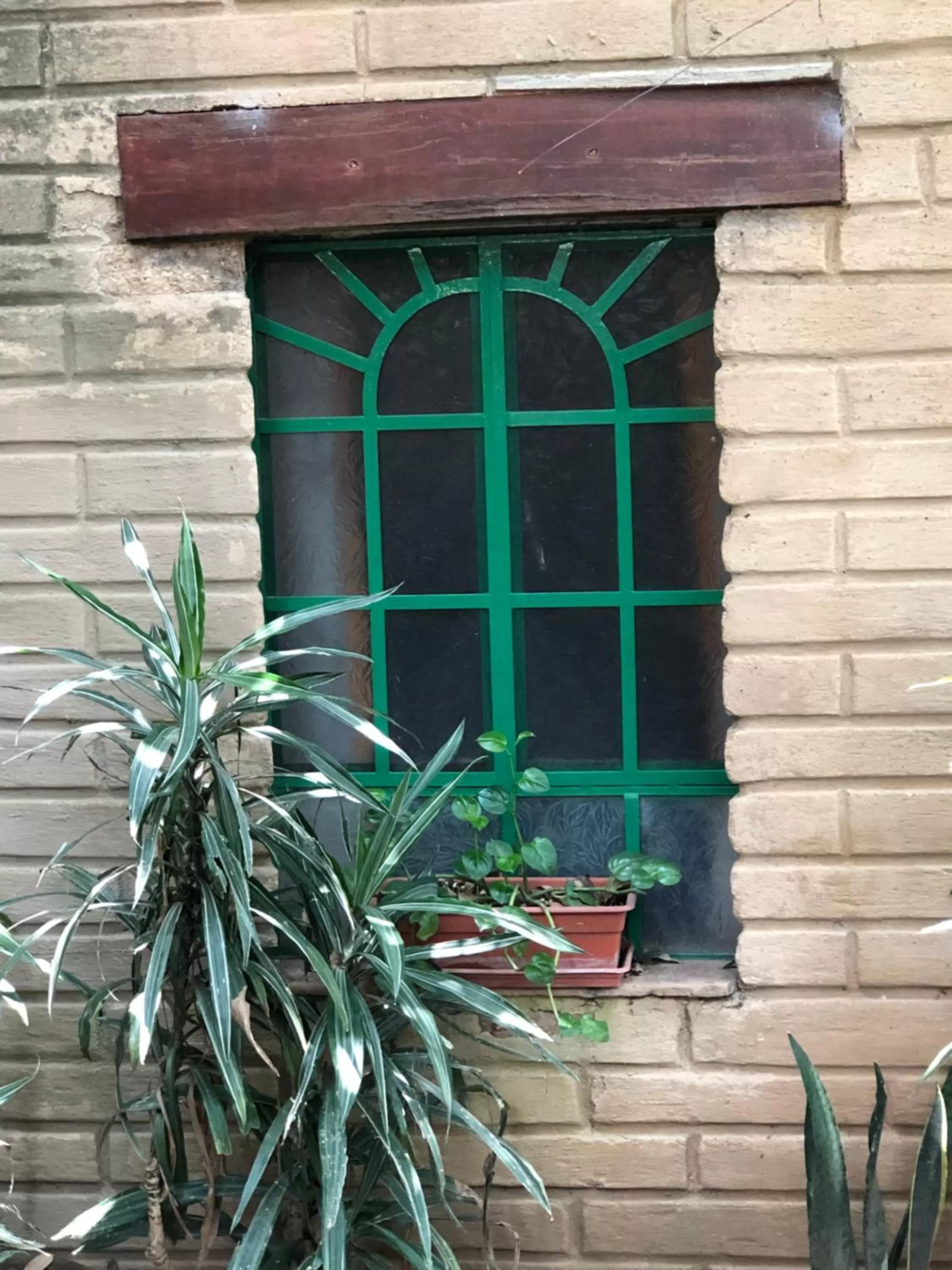 Decorative detail in Casa del Retoño