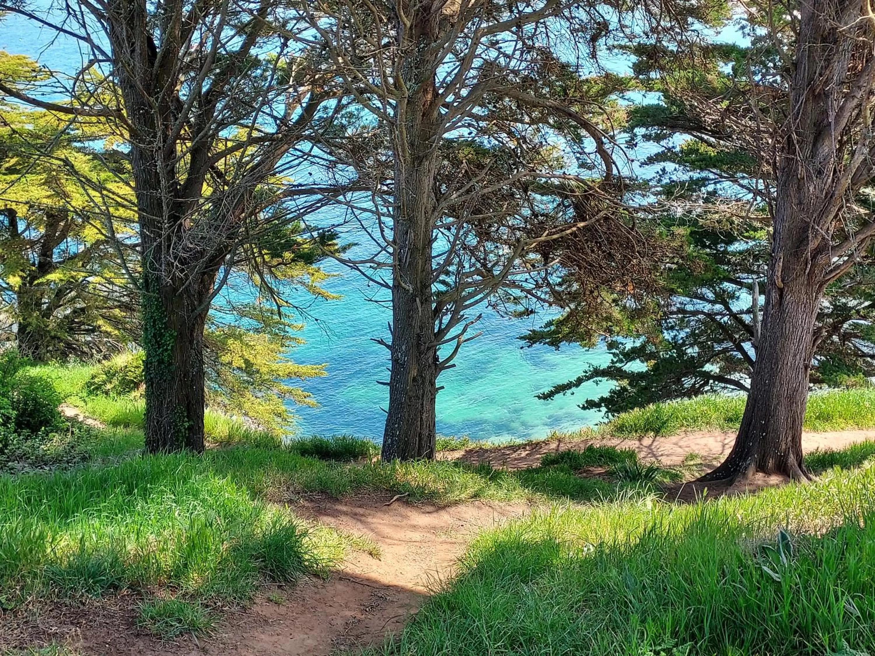 Maison Triton et Porcelaine