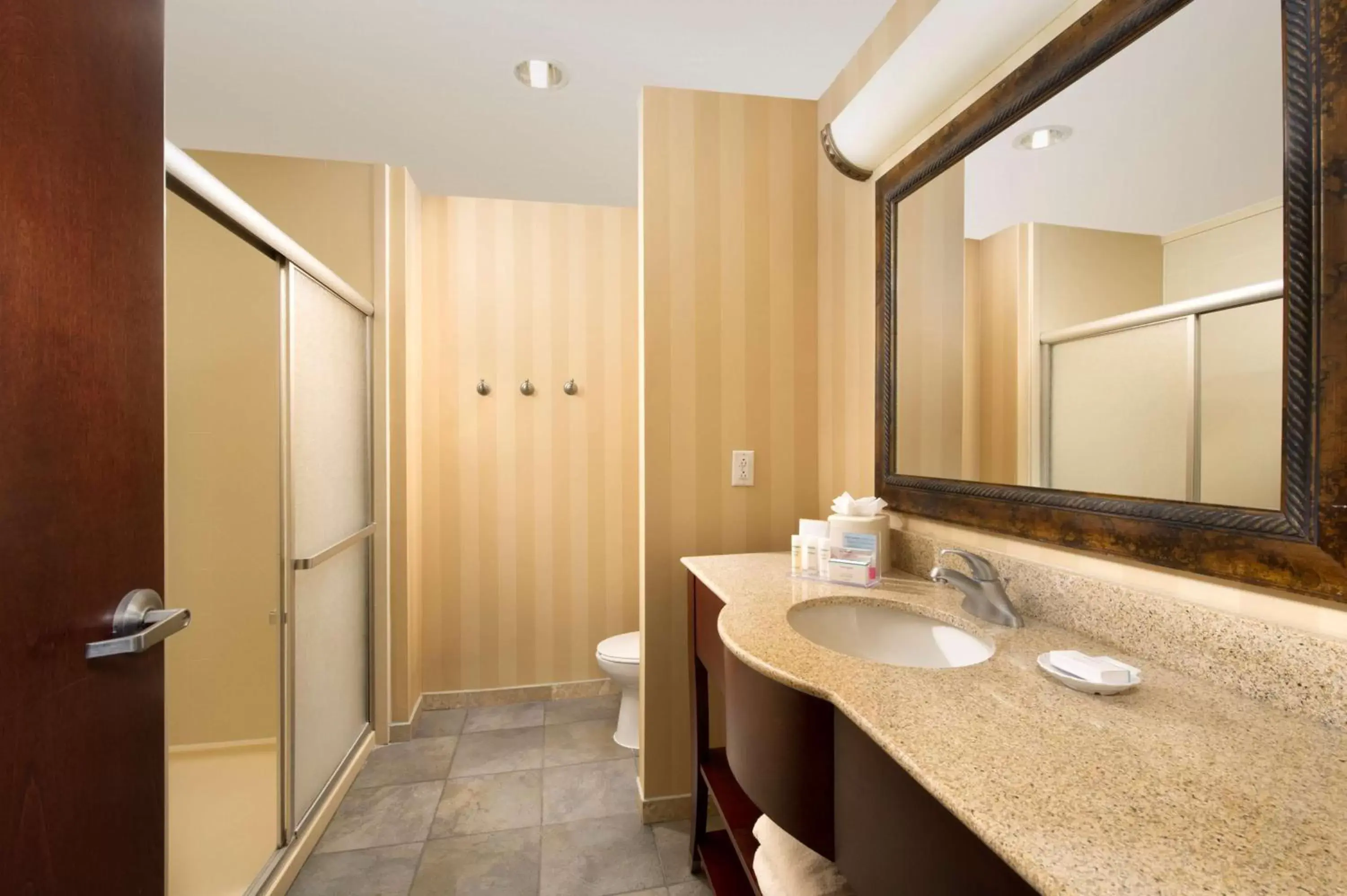 Bathroom in Hampton Inn and Suites San Antonio Airport
