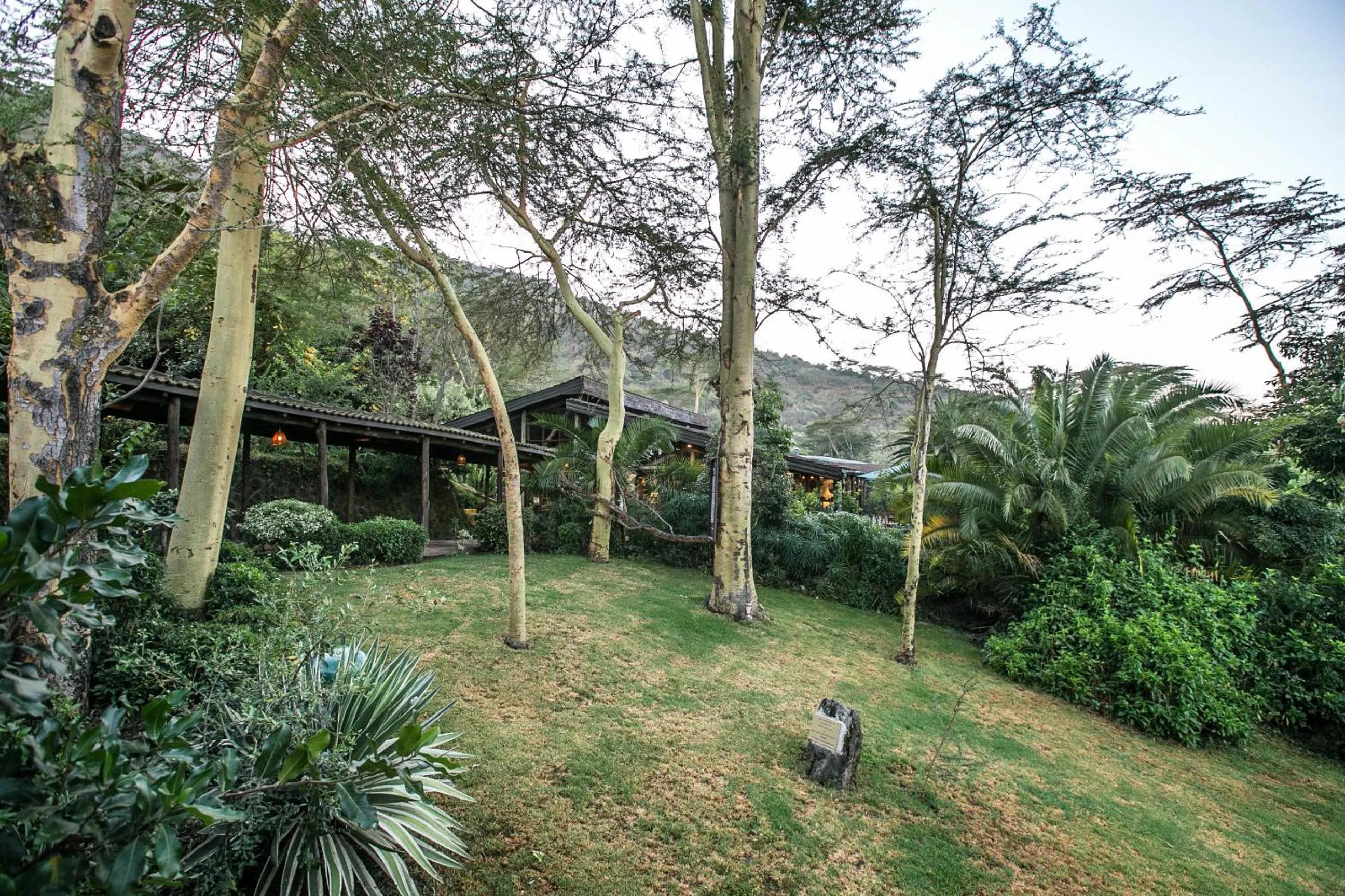 Property building in Sarova Lion Hill Game Lodge