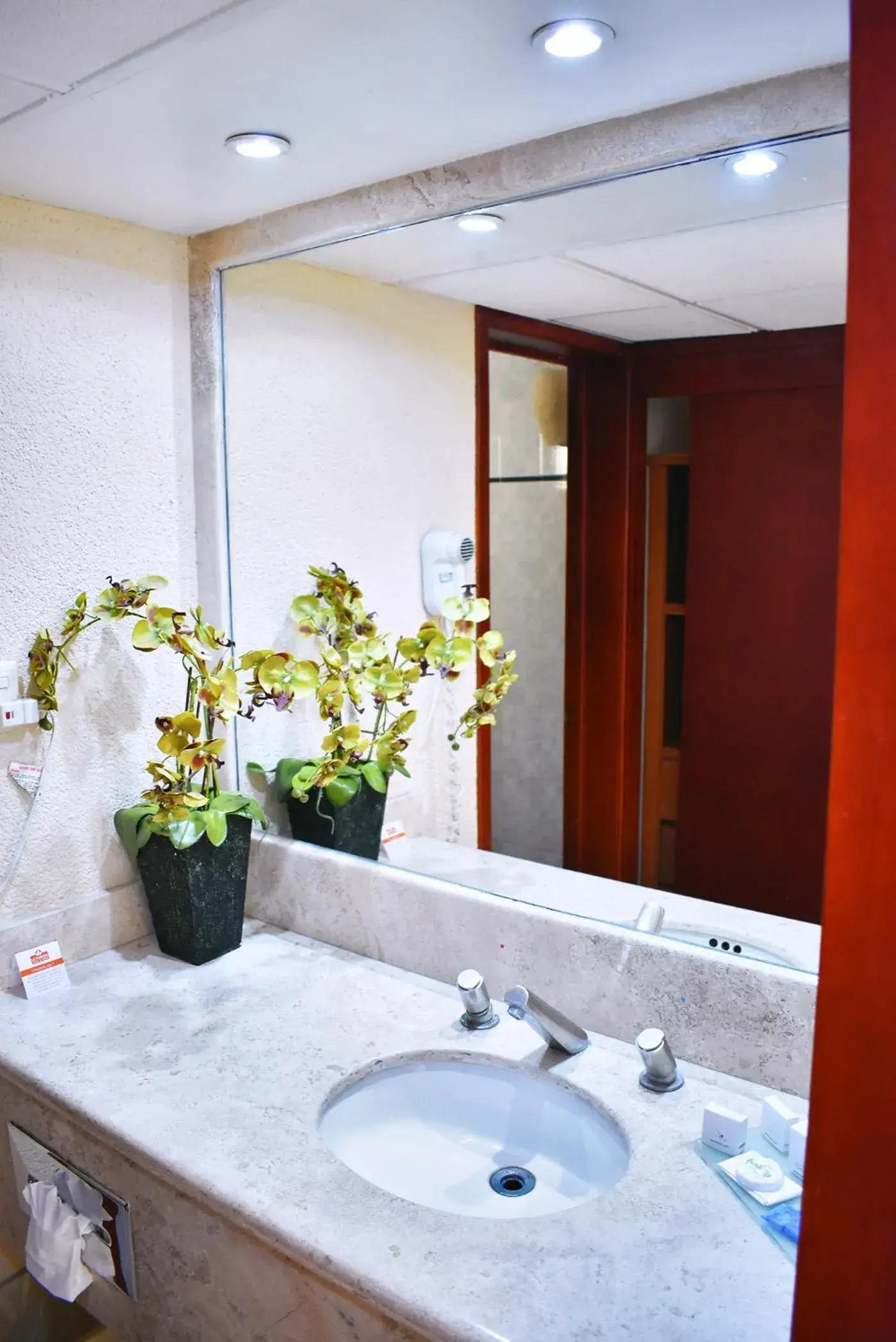 Bathroom in La Posada Hotel y Suites