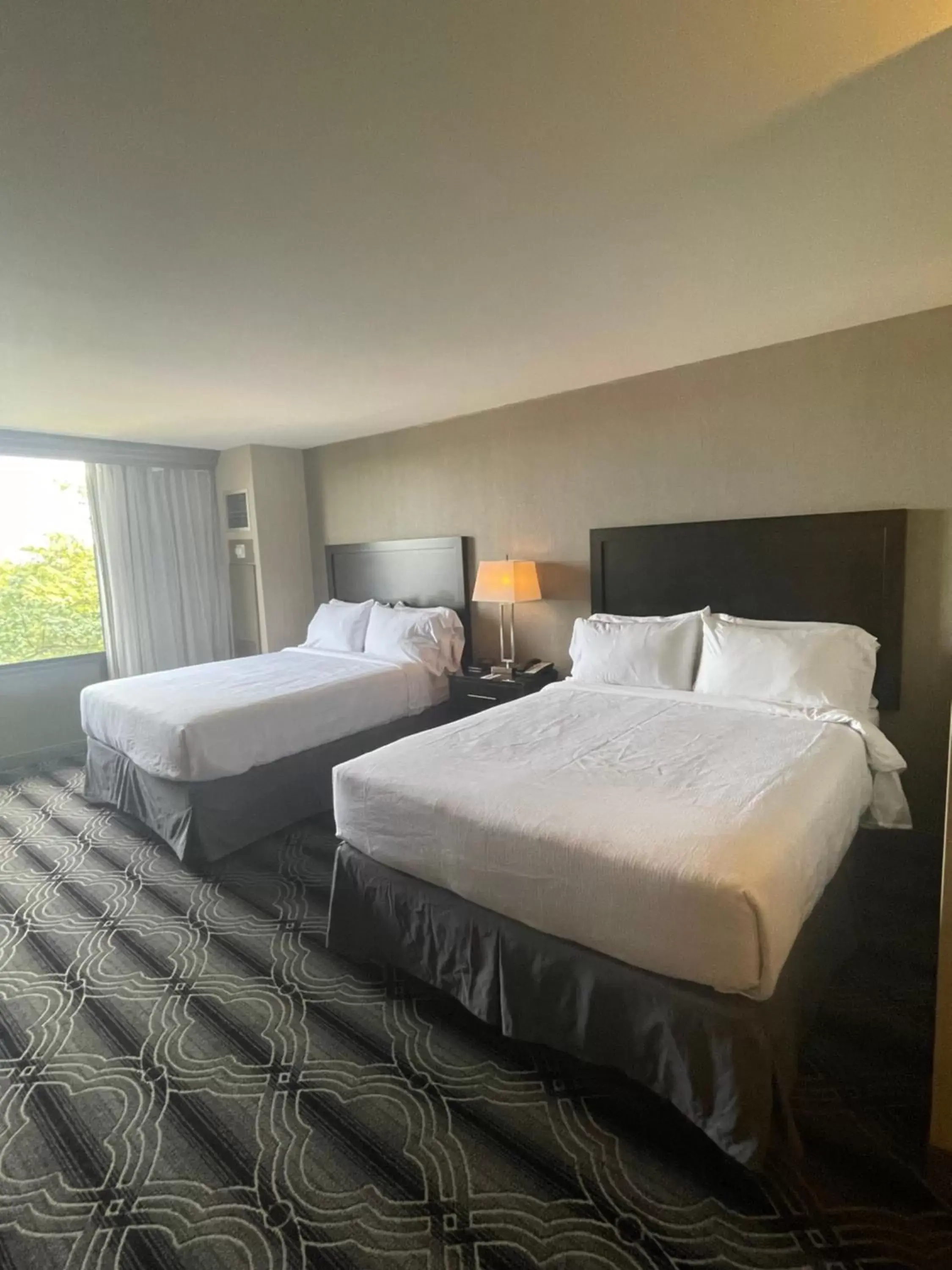 Bed in Grand Resort Hotel - Mt Laurel - Philadelphia