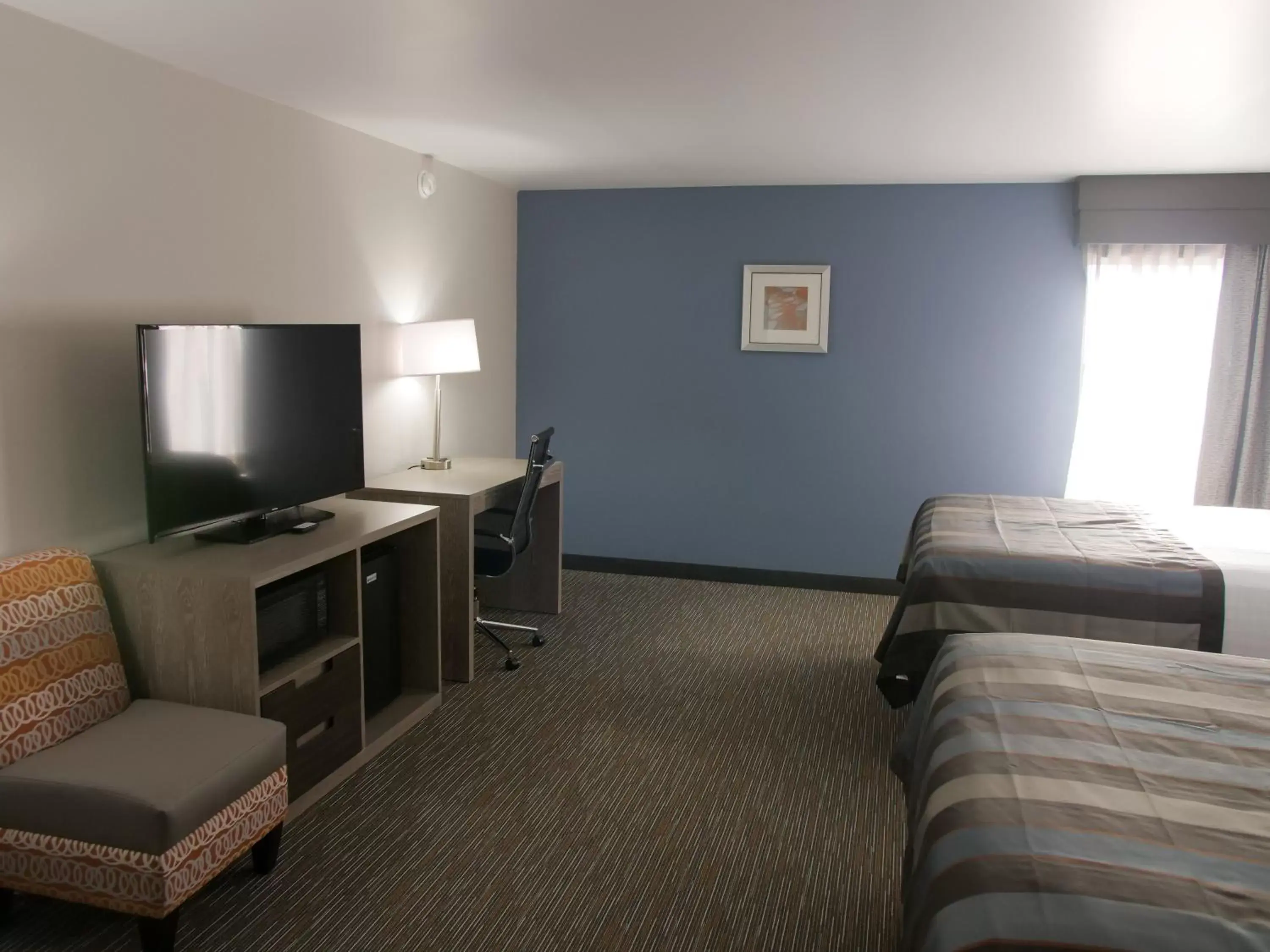 Bed, TV/Entertainment Center in Wingate by Wyndham Louisville Airport Expo Center