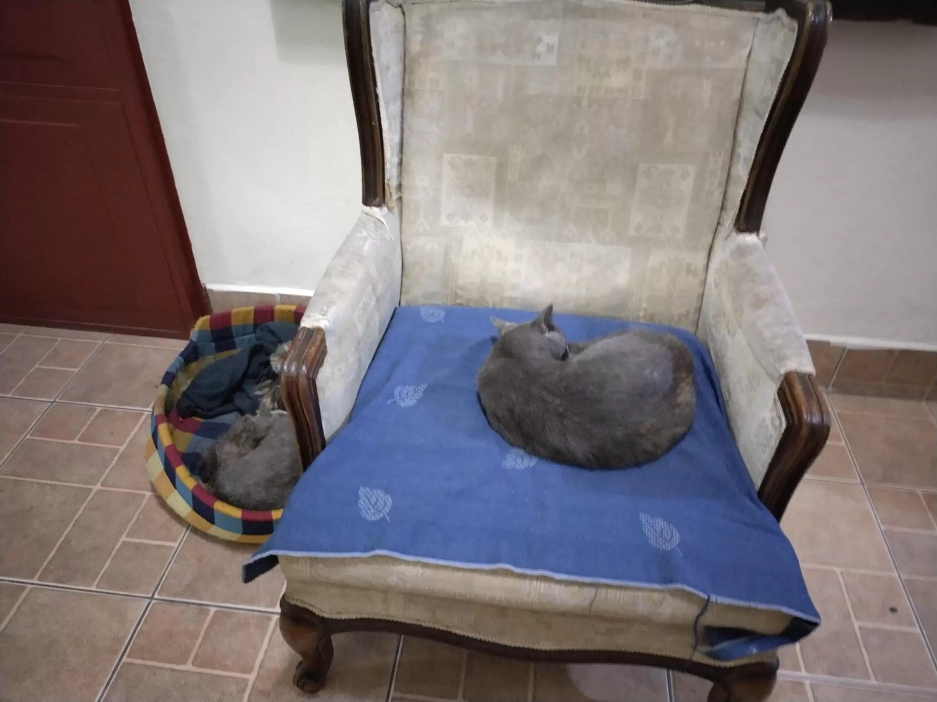 Dining Area in Hotel Trianon