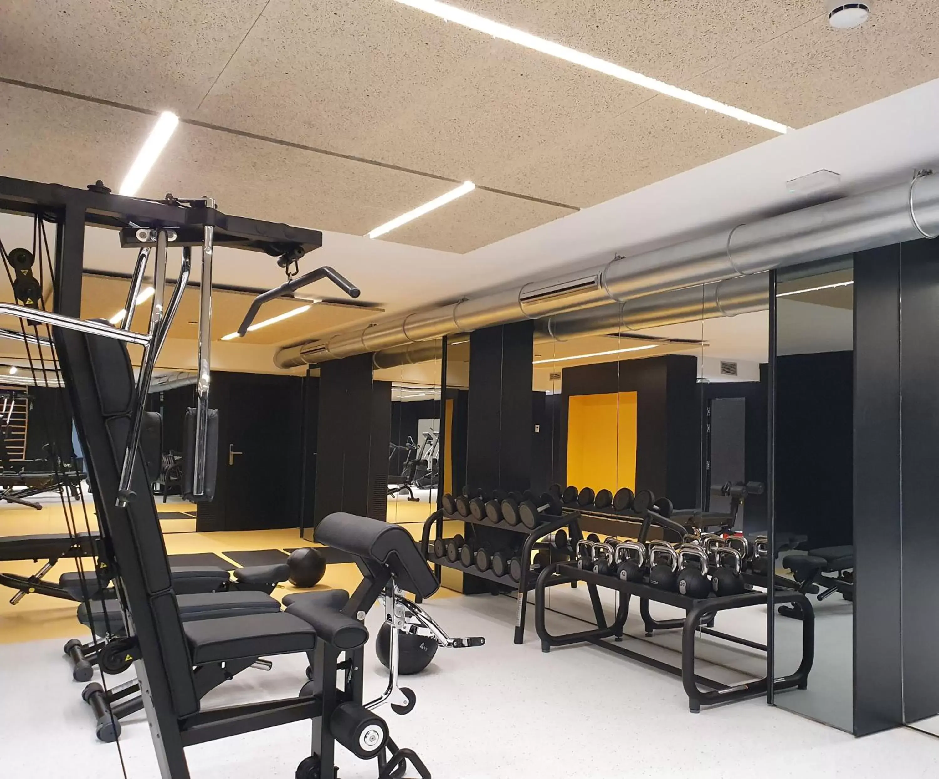 Fitness centre/facilities, Fitness Center/Facilities in Hotel Palacio La Marquesa 4 Estrellas SUP