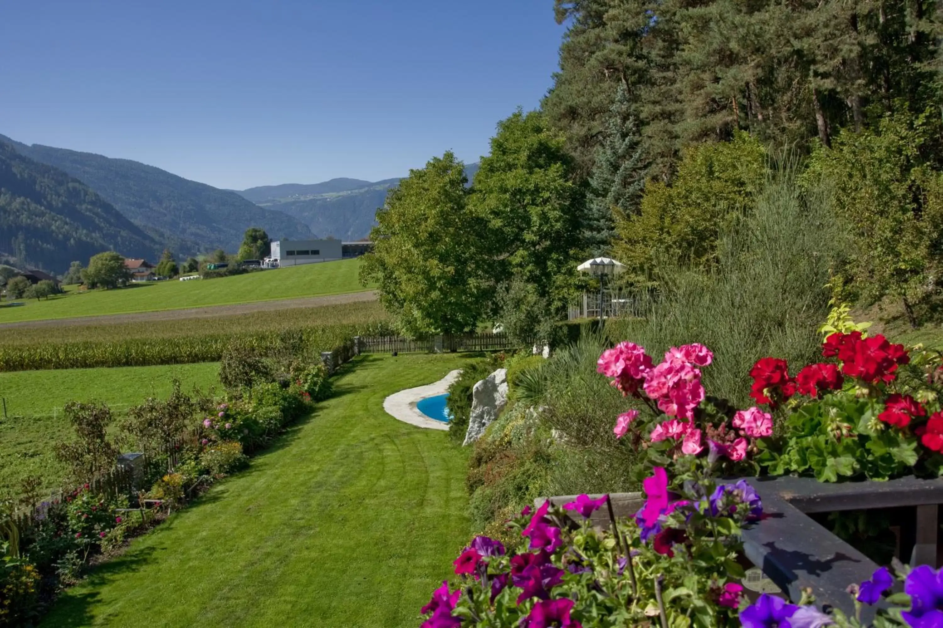 Swimming pool in Residence Obermoarhof