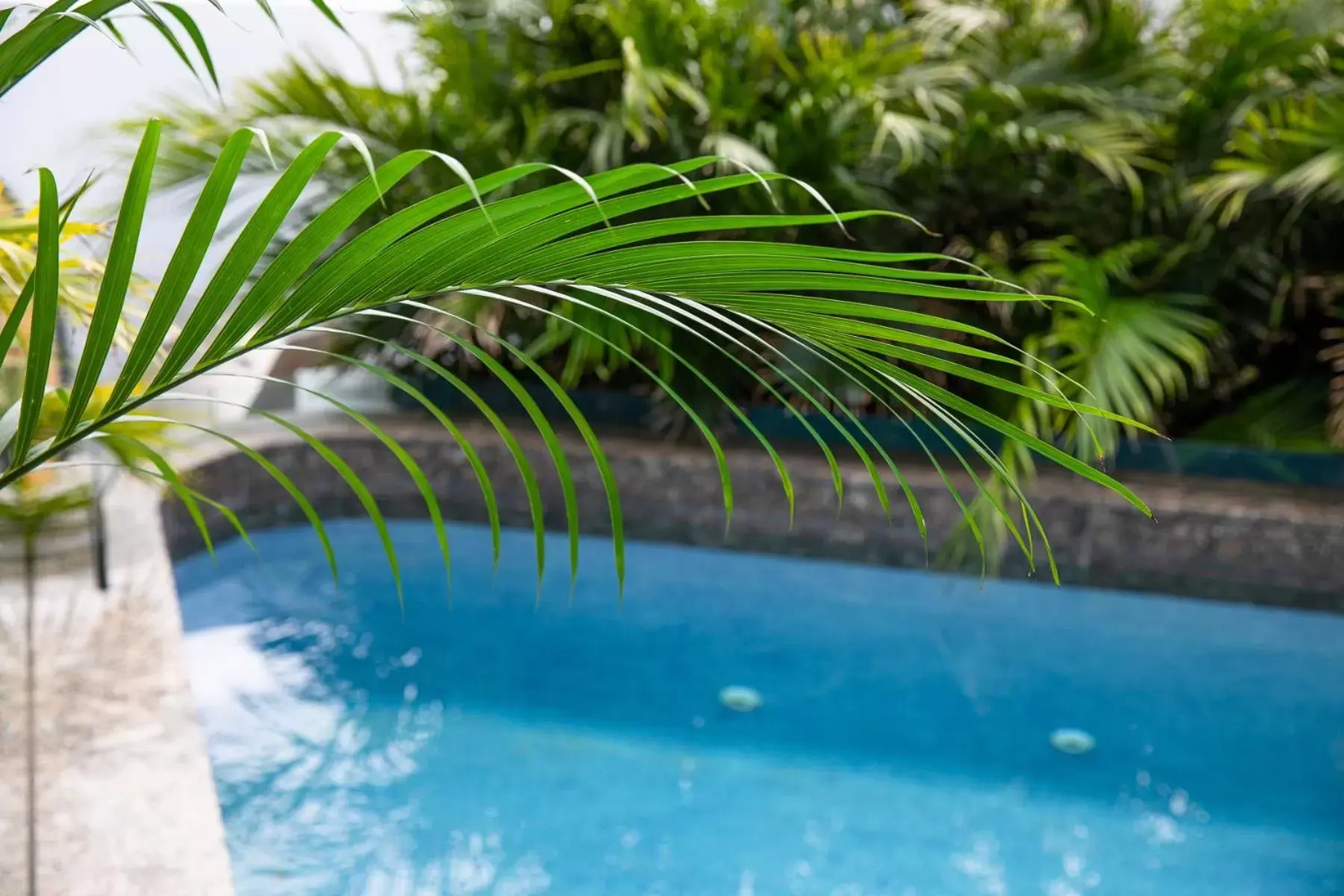 Swimming Pool in Beach Suites